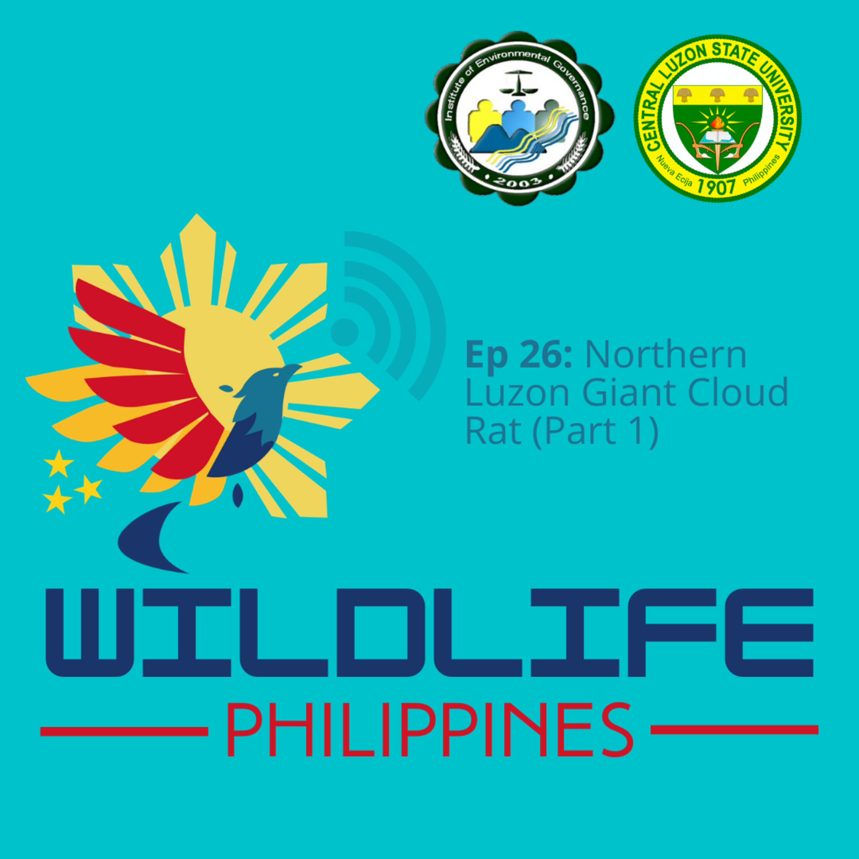Wildlife Philippines