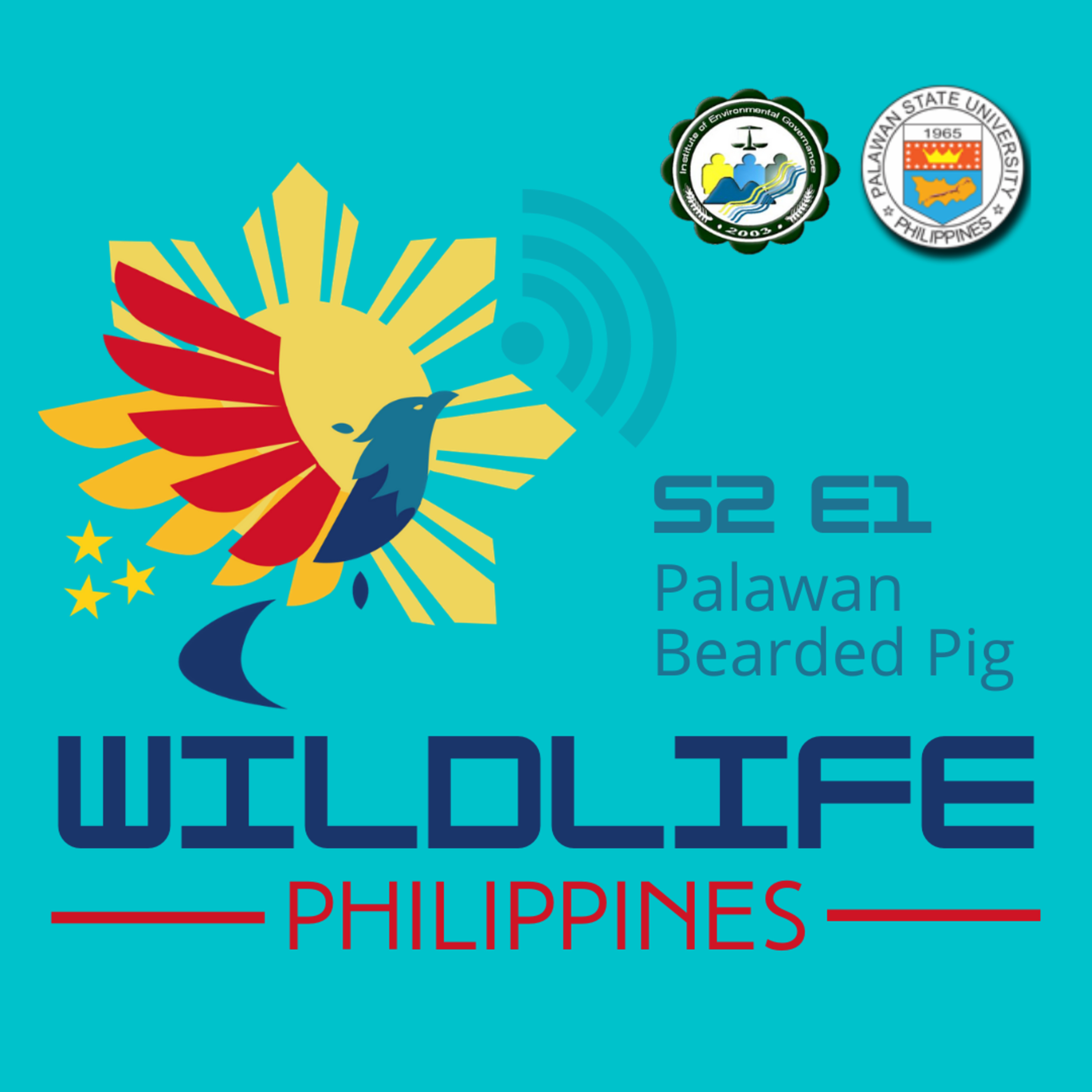 Wildlife Philippines