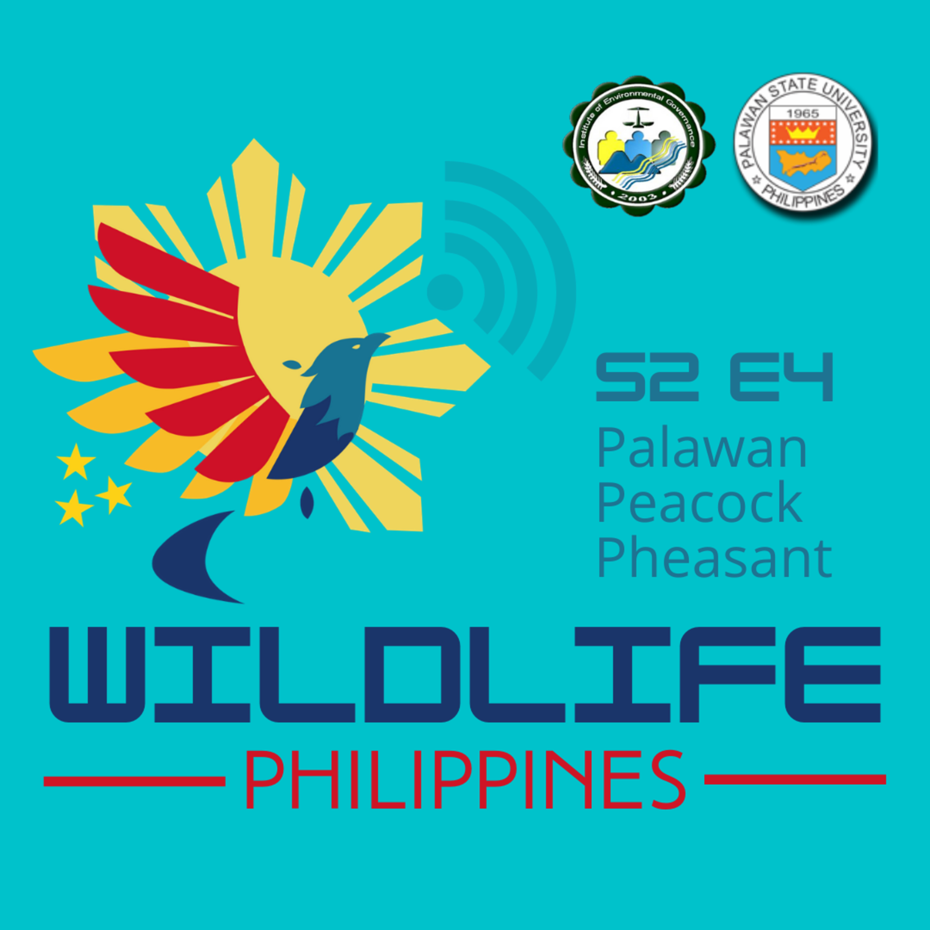 Wildlife Philippines