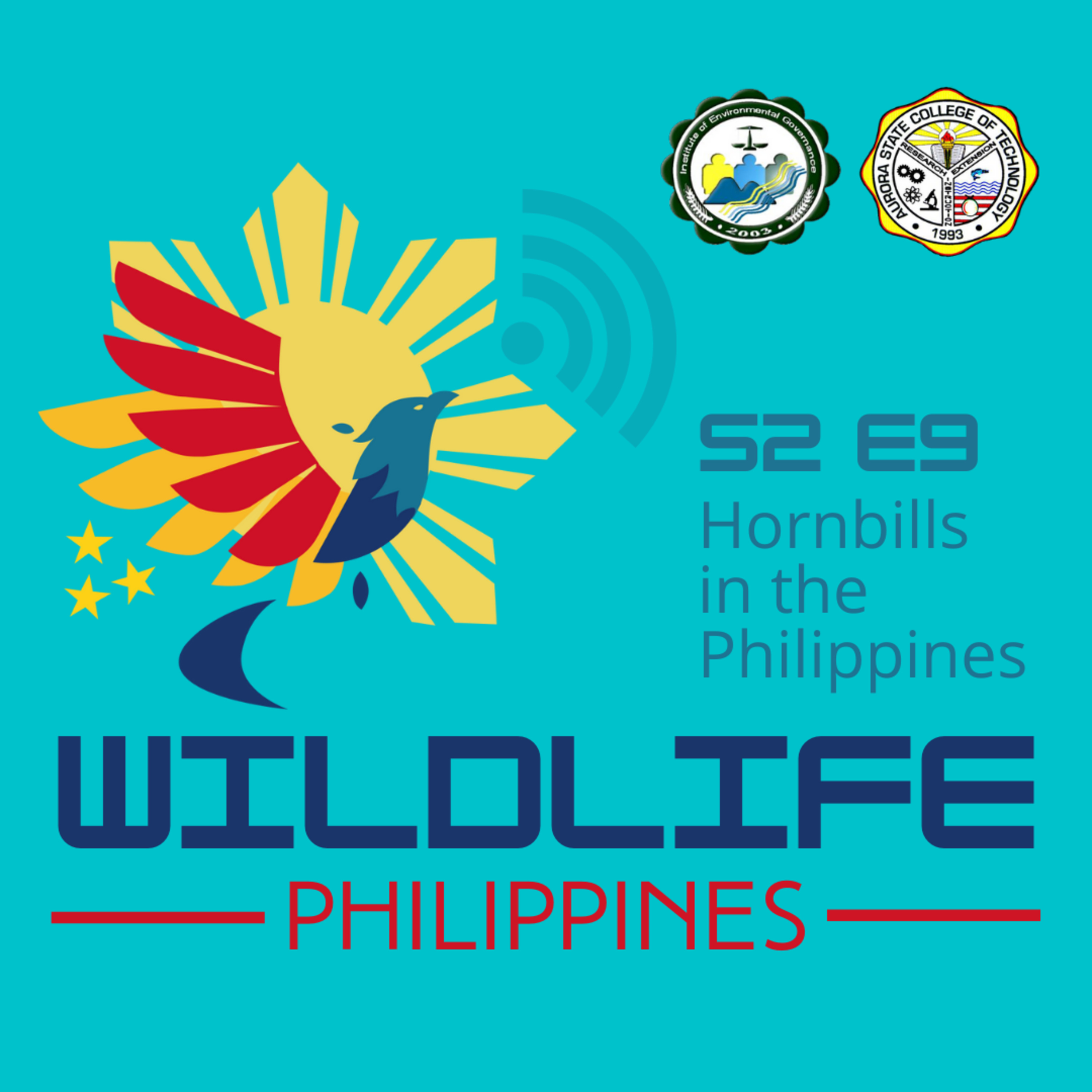 Wildlife Philippines