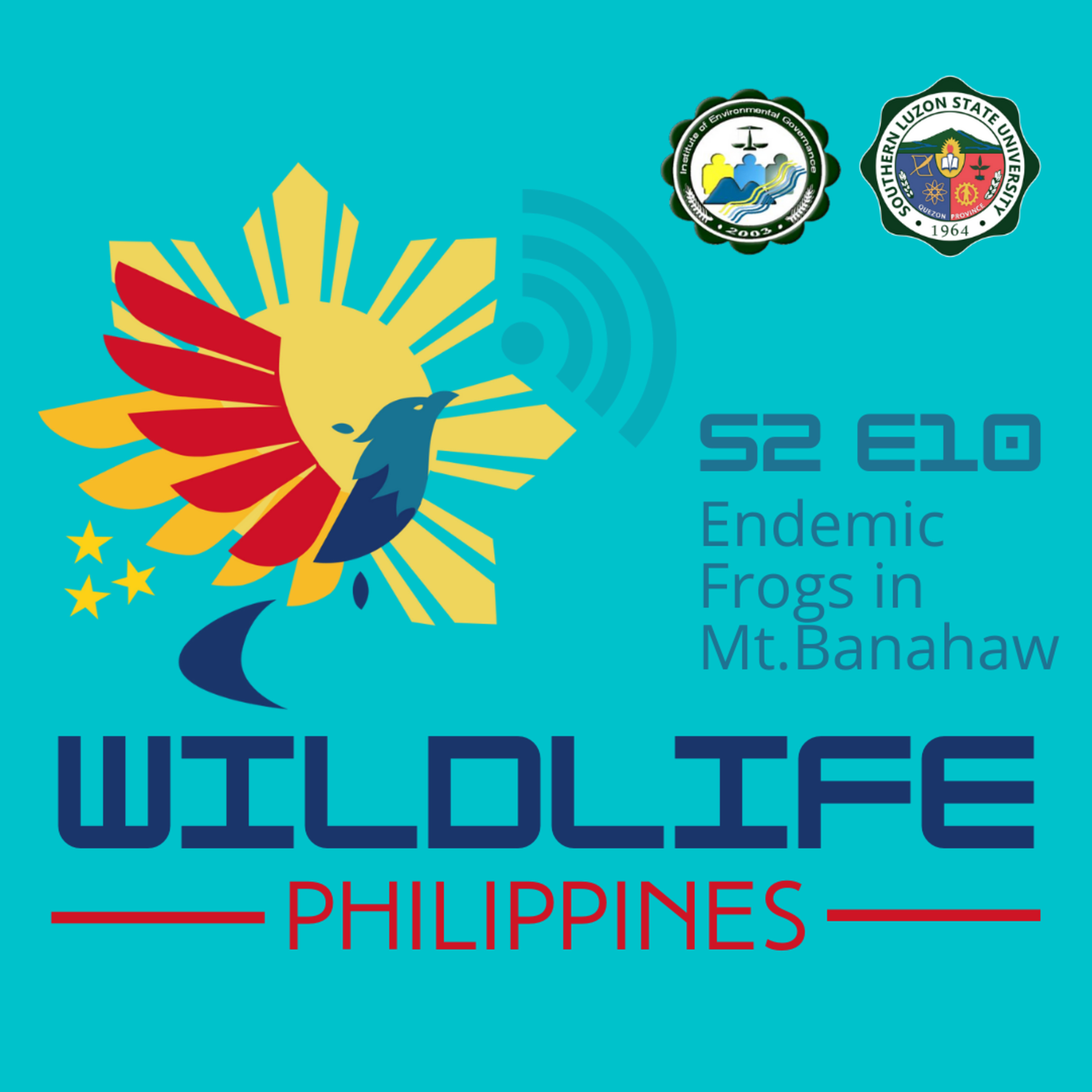 Wildlife Philippines
