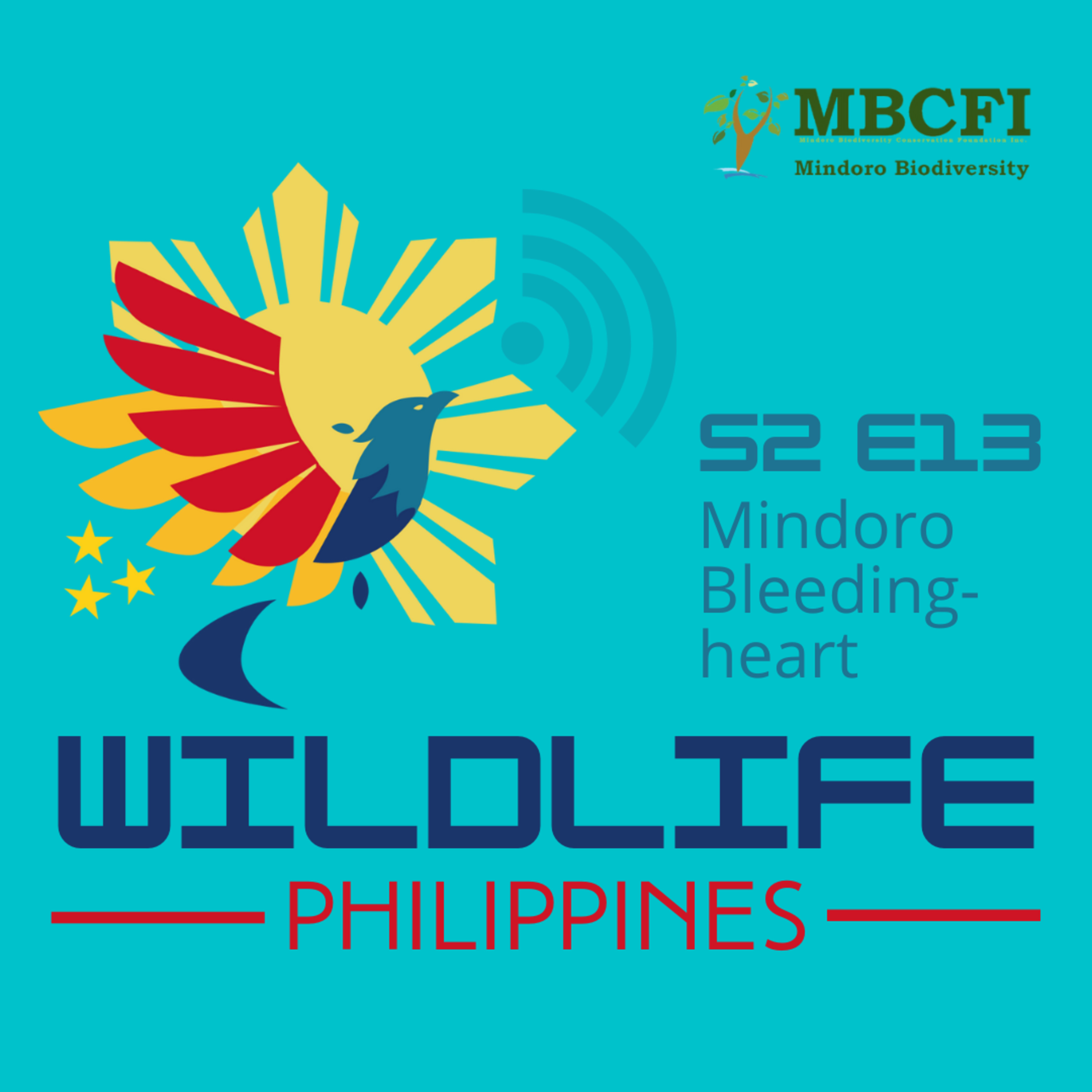 Wildlife Philippines