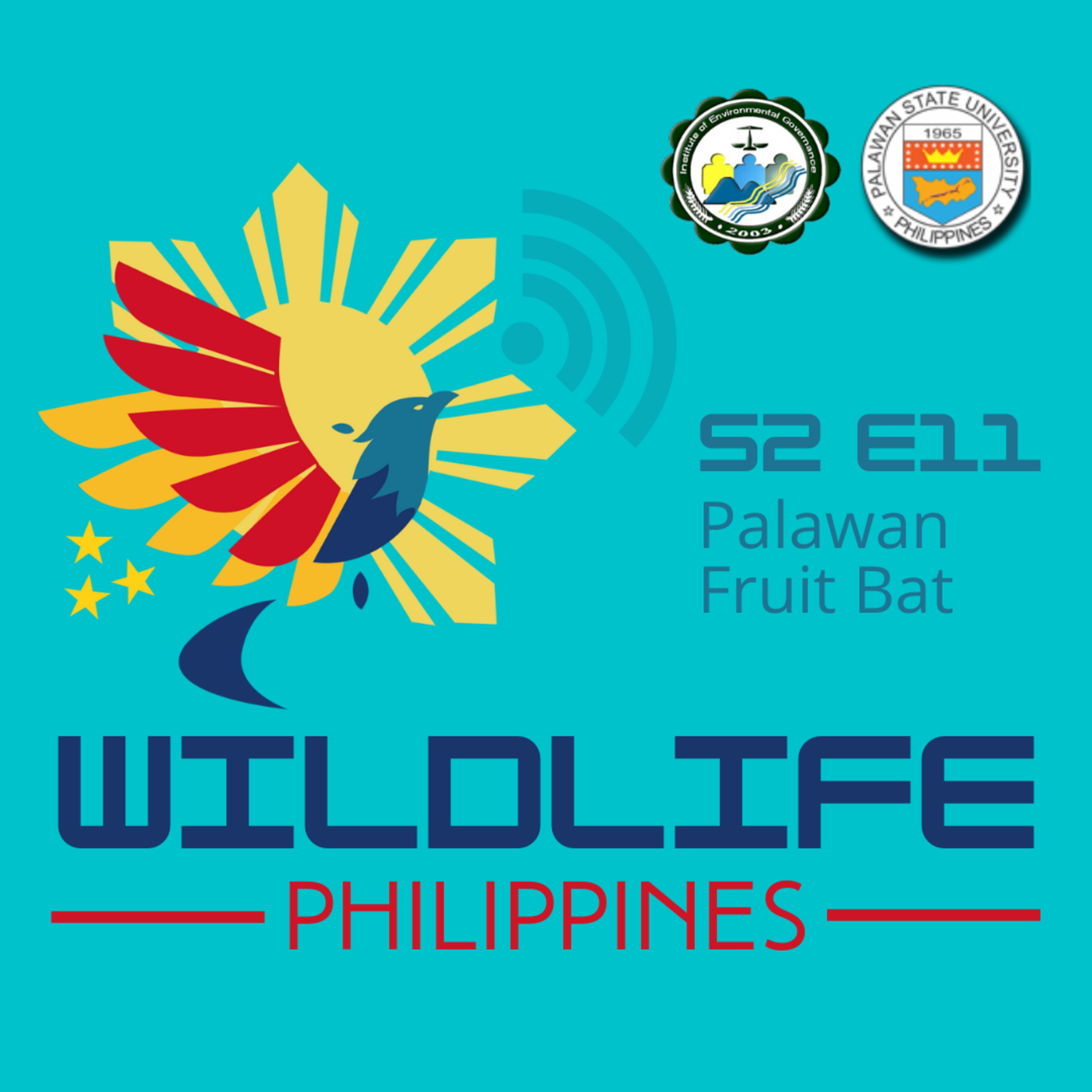 Wildlife Philippines
