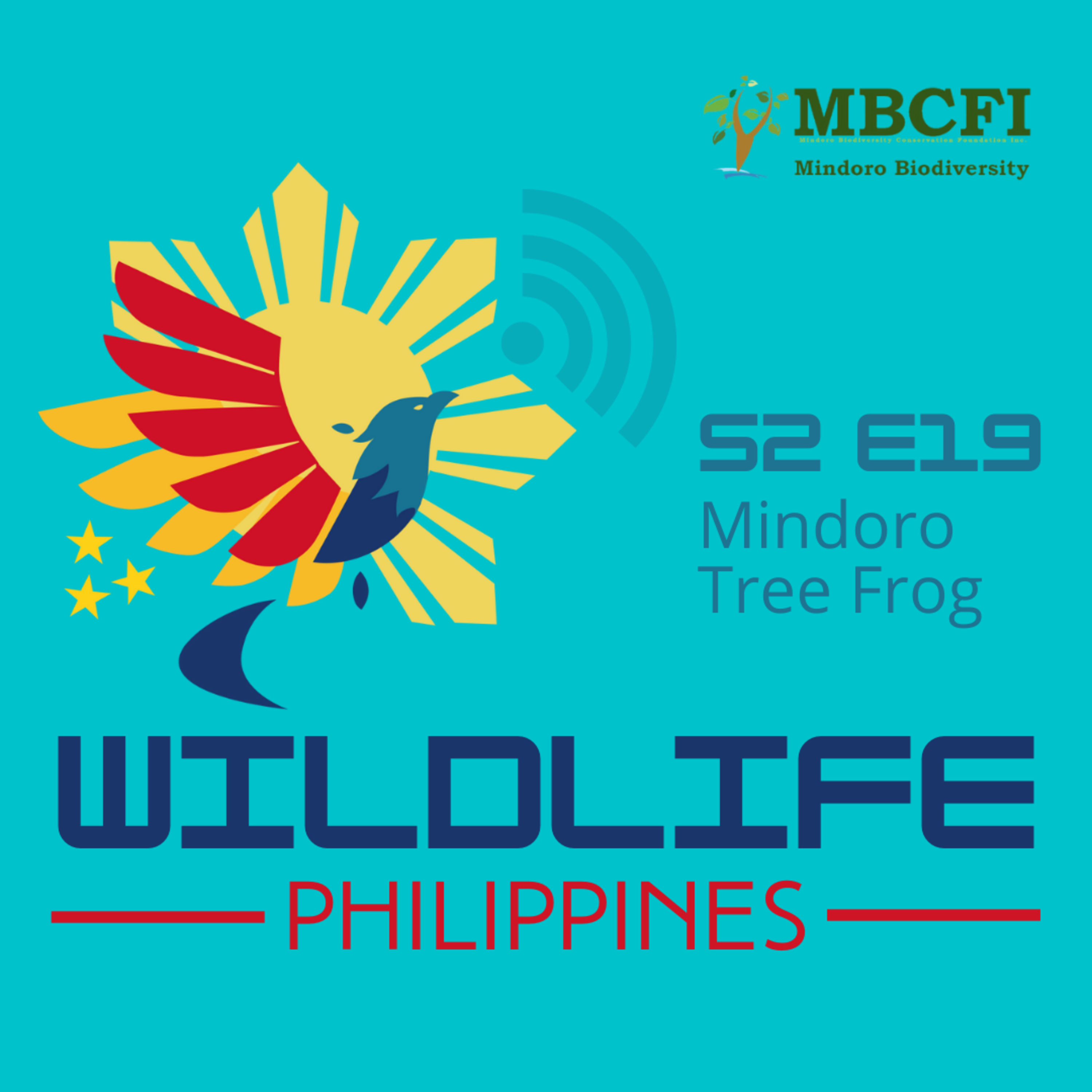 Wildlife Philippines