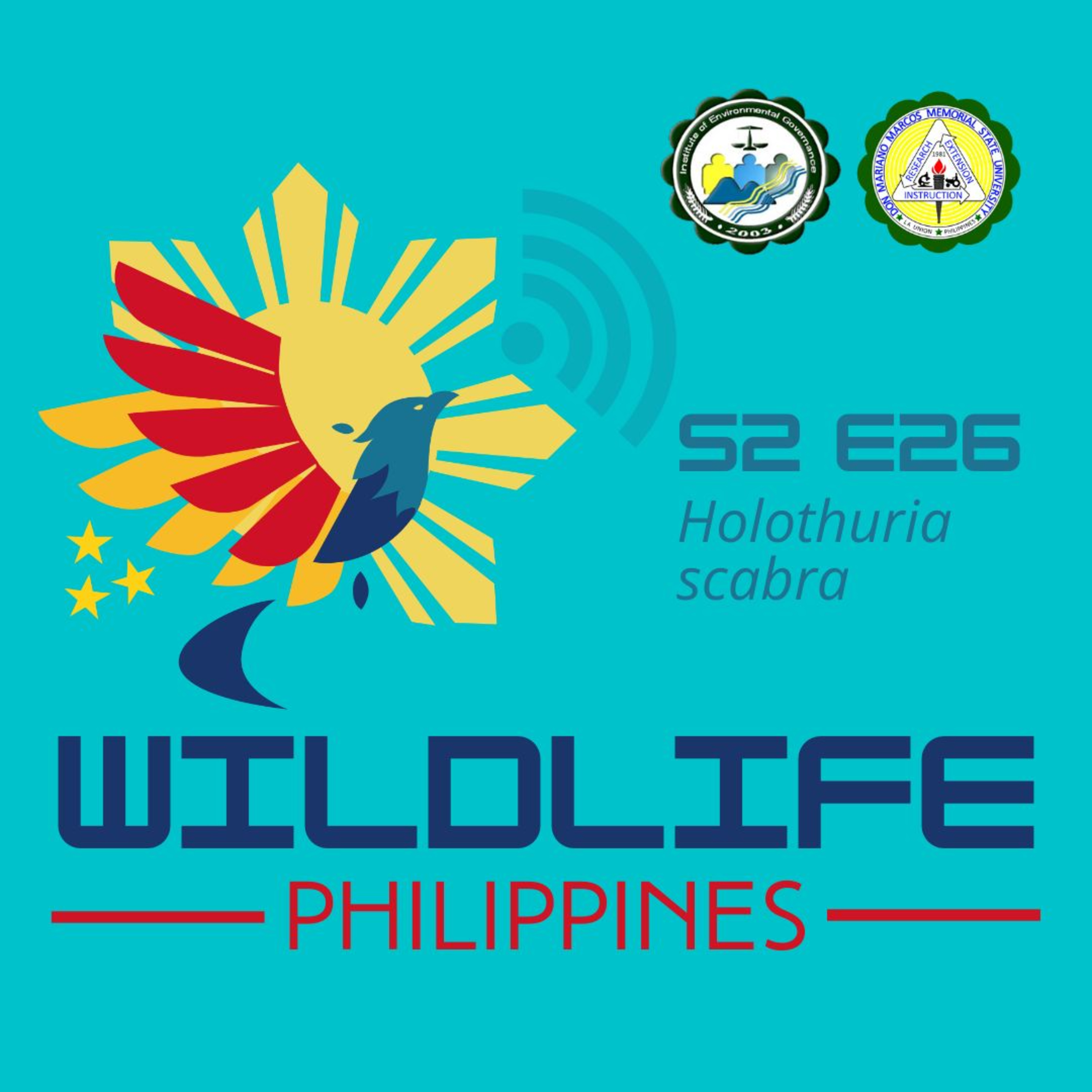 Wildlife Philippines