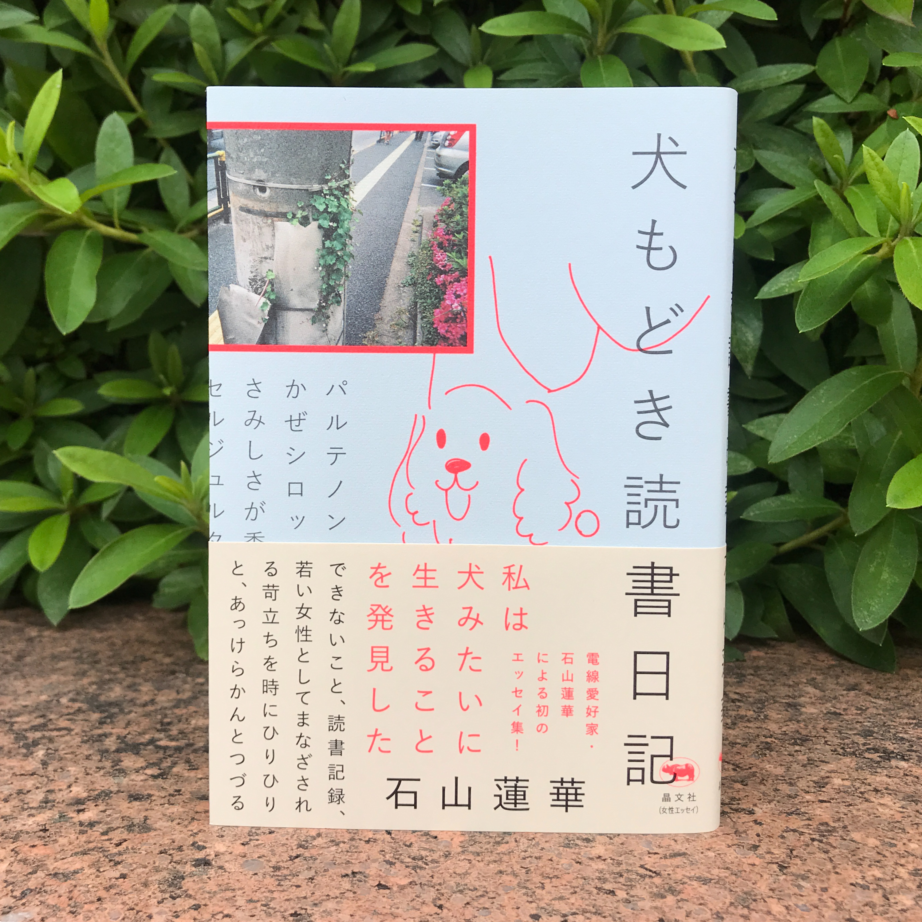 第10回「本づくりは楽しい」ゲスト:石山蓮華さん(電線愛好家)
