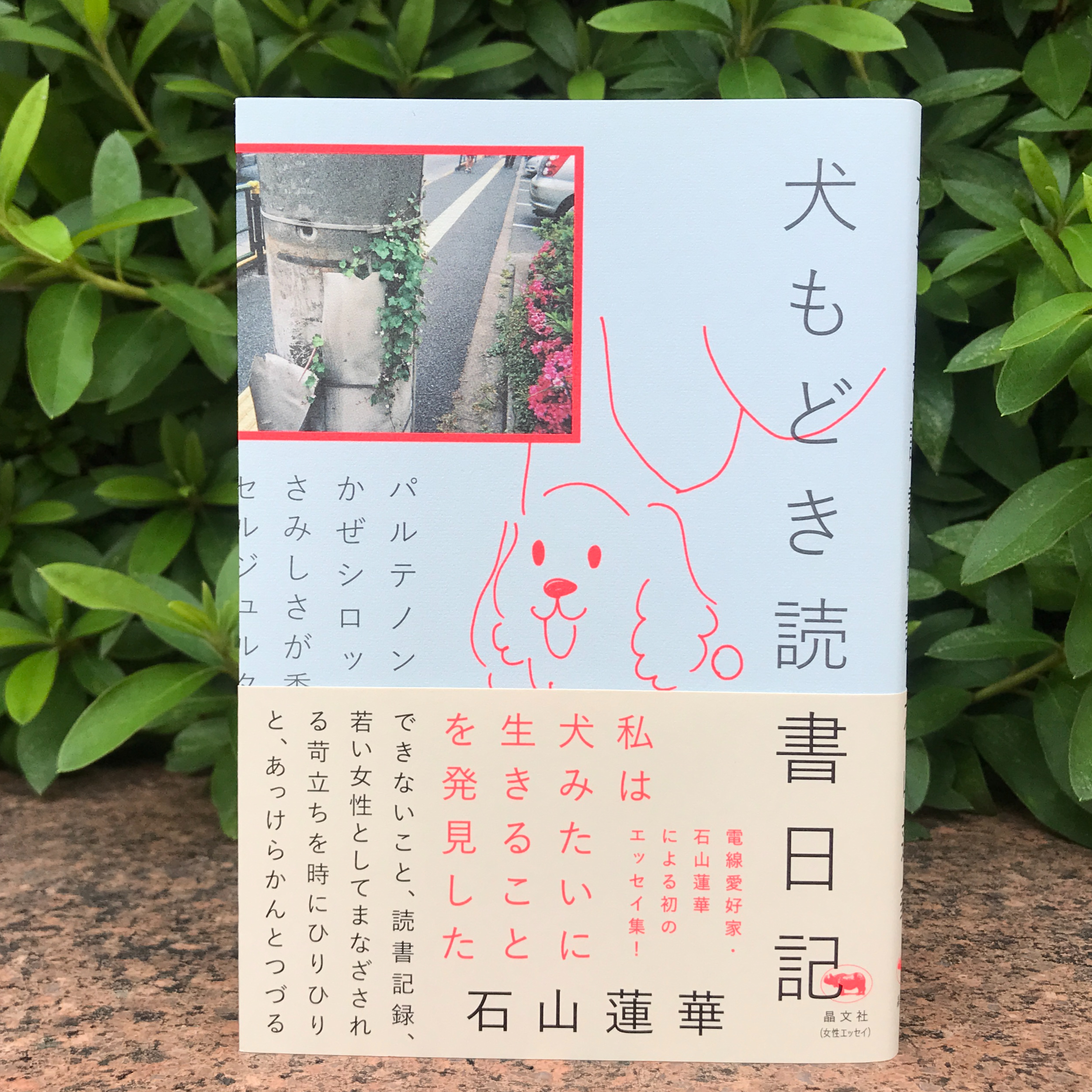 第11回「犬みたいに生きること」ゲスト:石山蓮華さん(電線愛好家)
