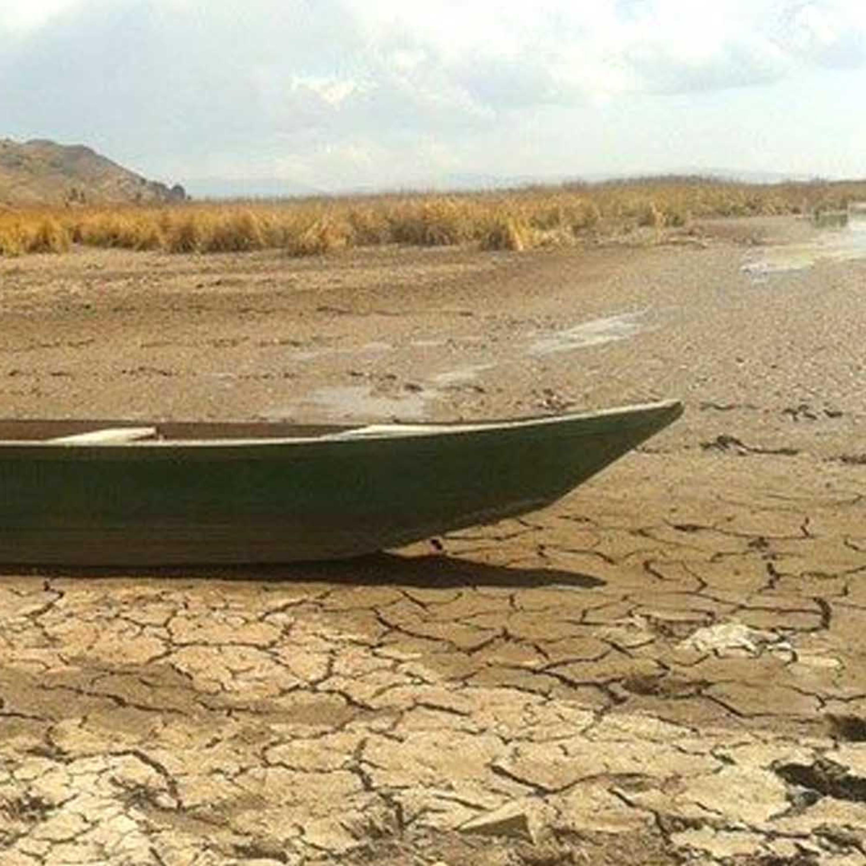 Informe: La región de Puno es declarada en emergencia debido a una sequía prolongada episode artwork