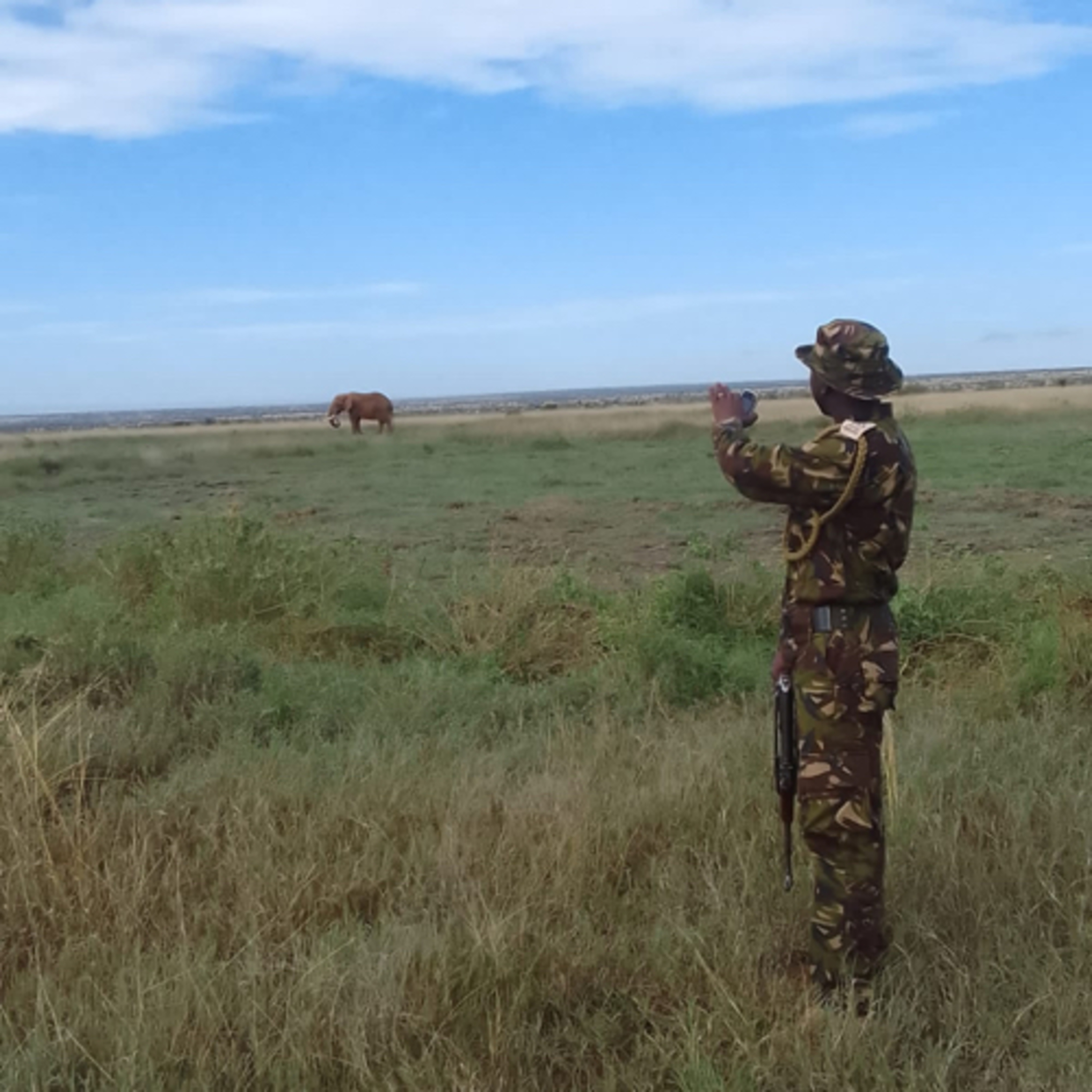 Loisaba Conservancy: A Conservation Success Story
