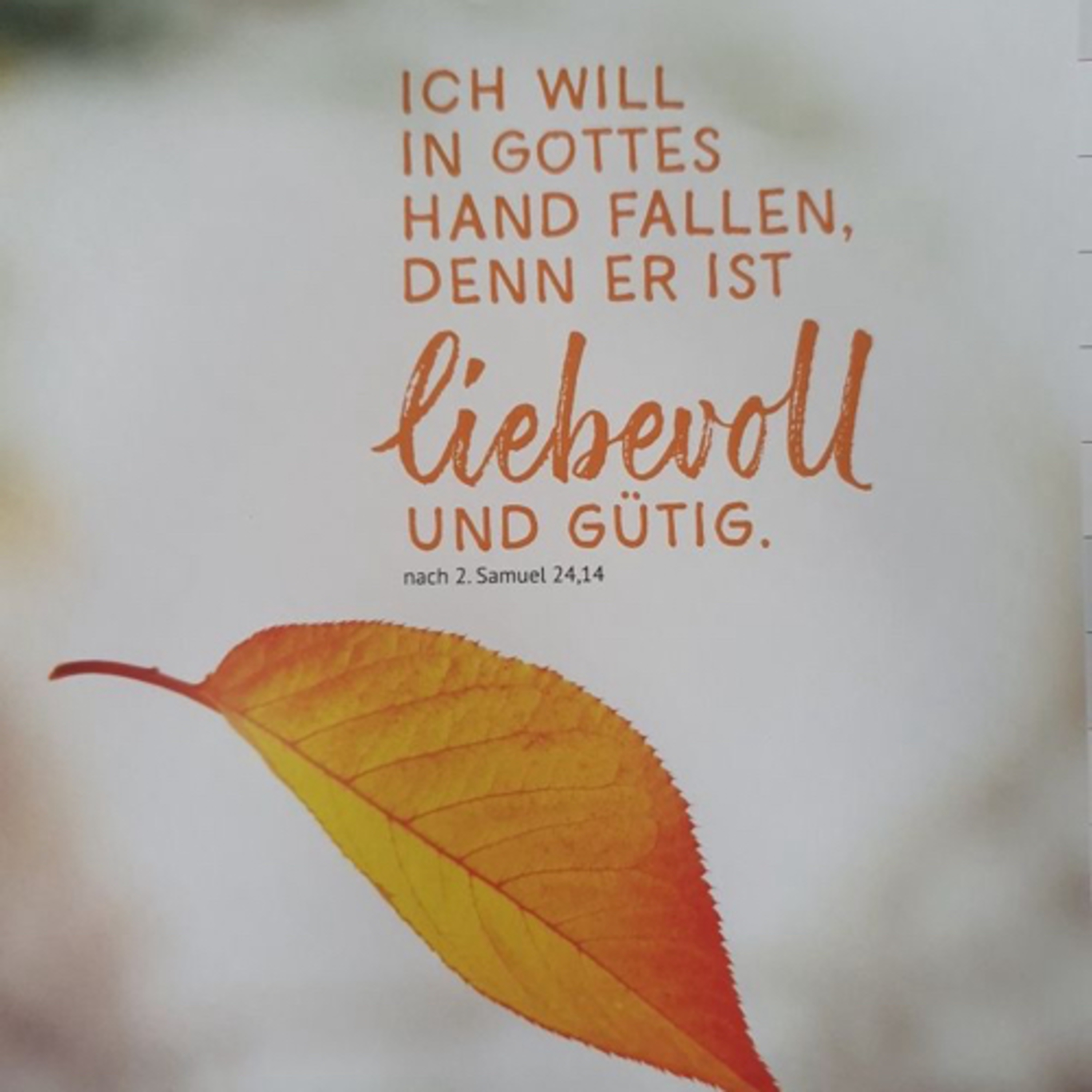 Ein Kurs in Wundern - Alltag mit GOTT