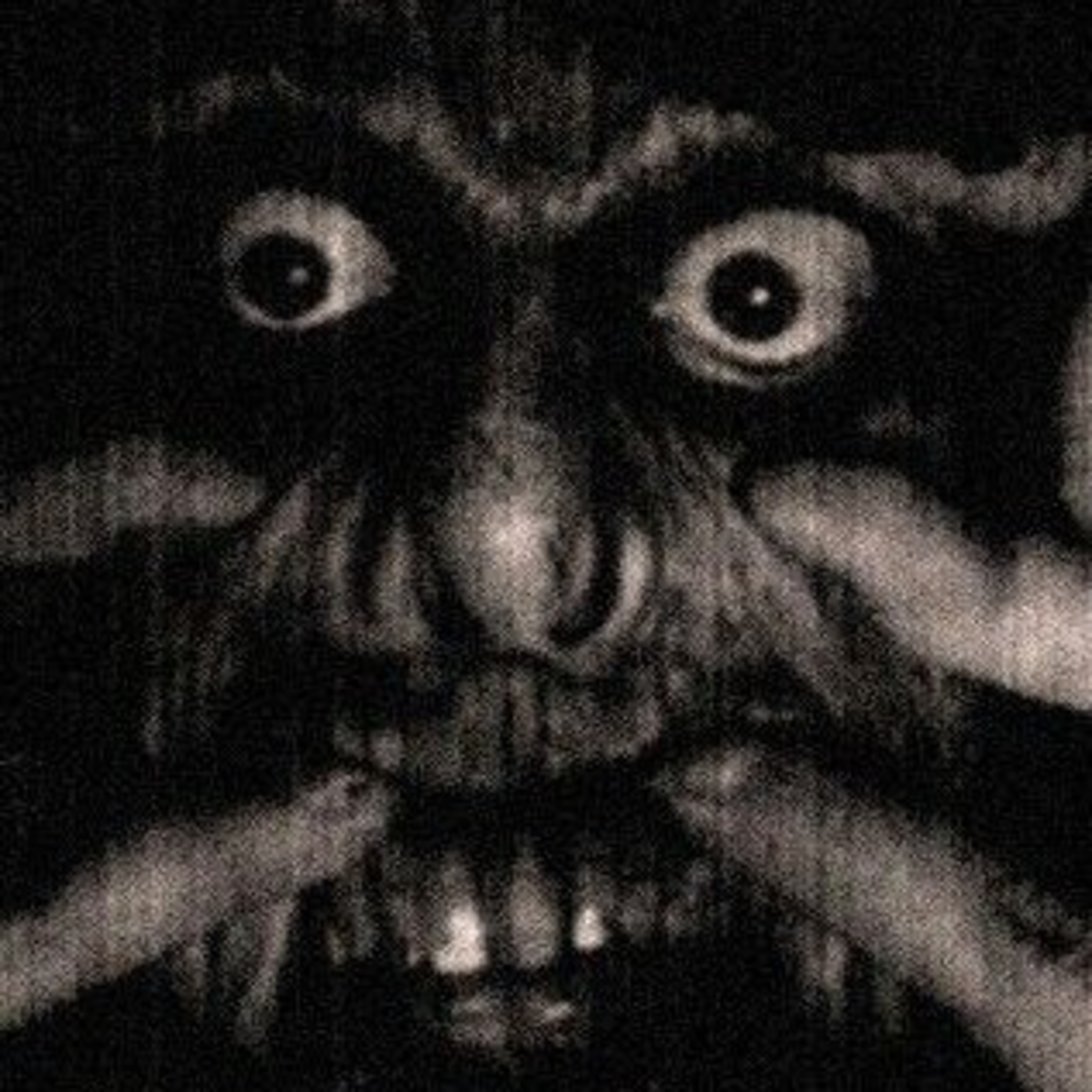 CreepyΠαίδεια