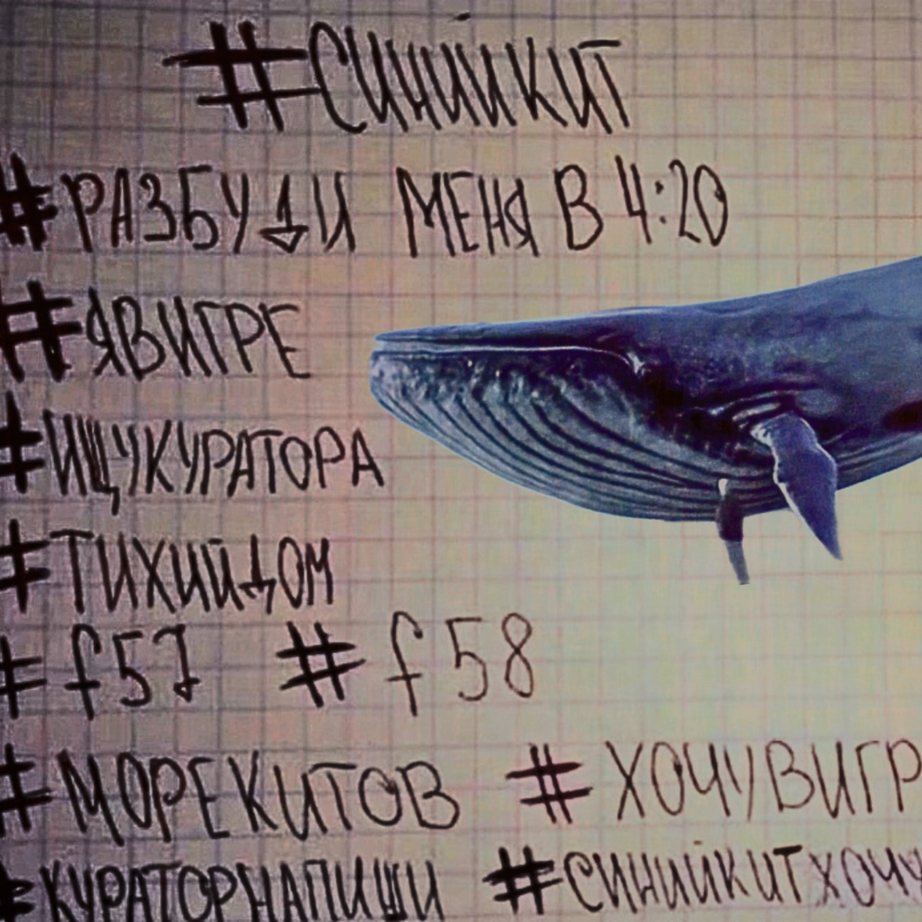Επ.105: The Blue Whale Challenge episode artwork