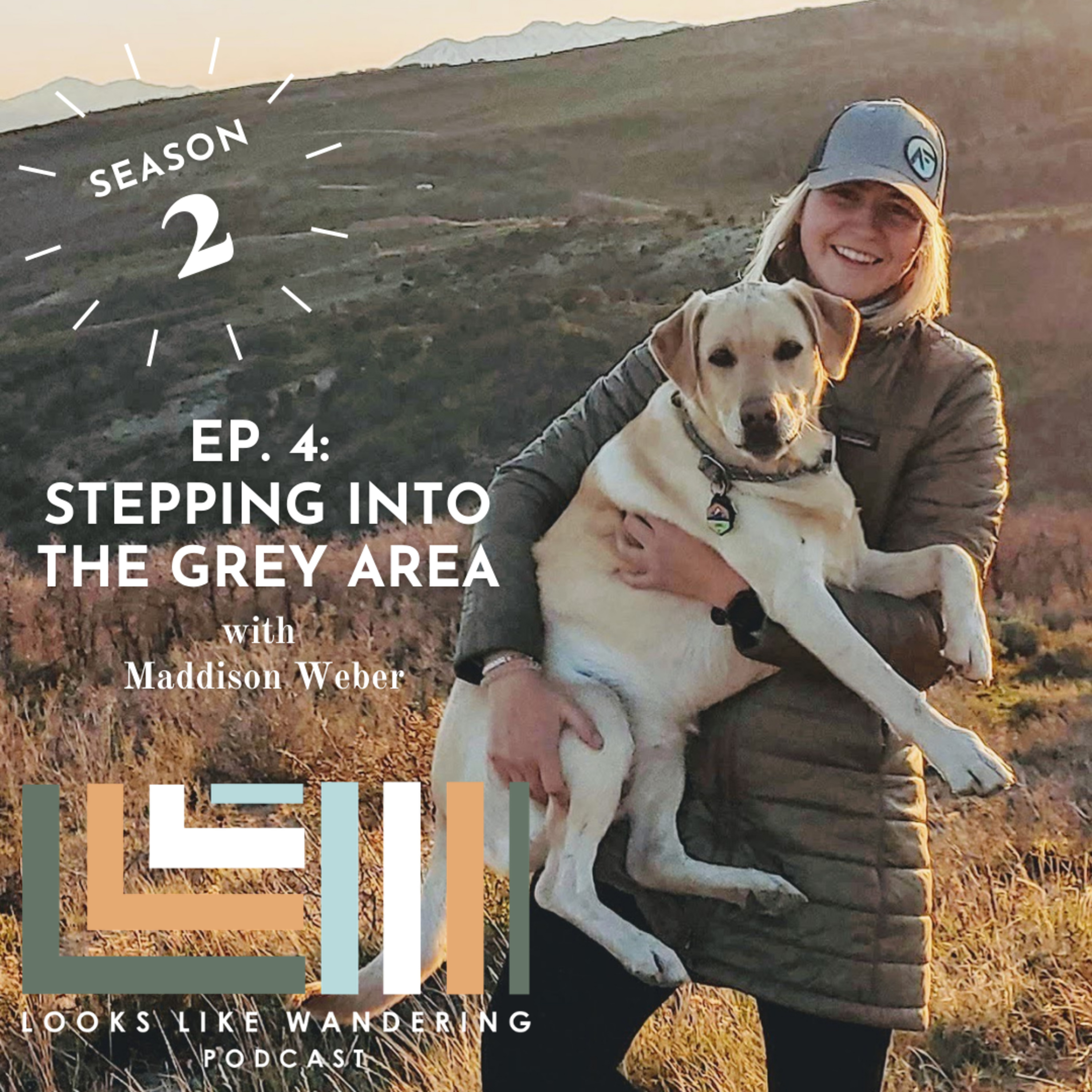 Looks Like Wandering