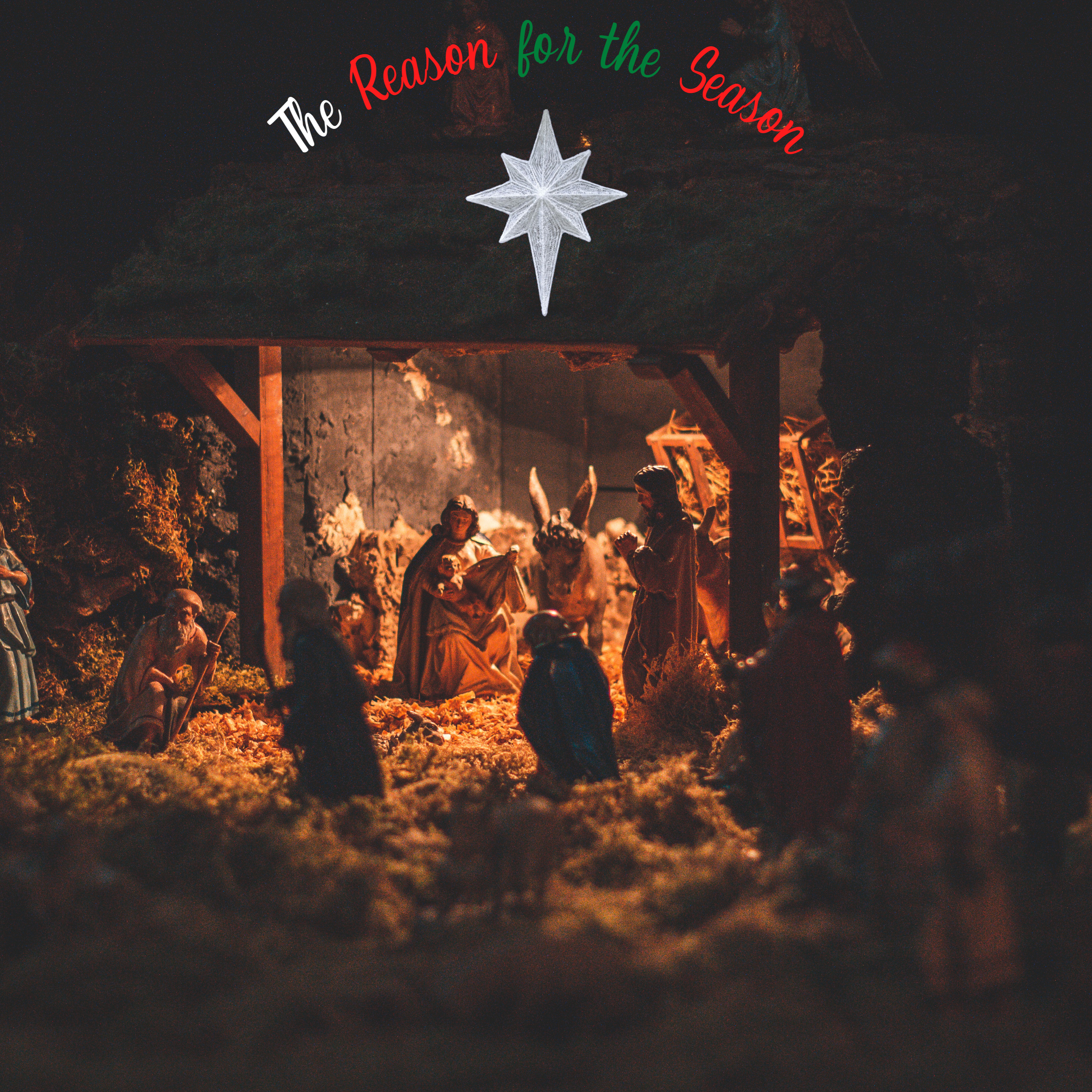 The Reason for the Season episode artwork