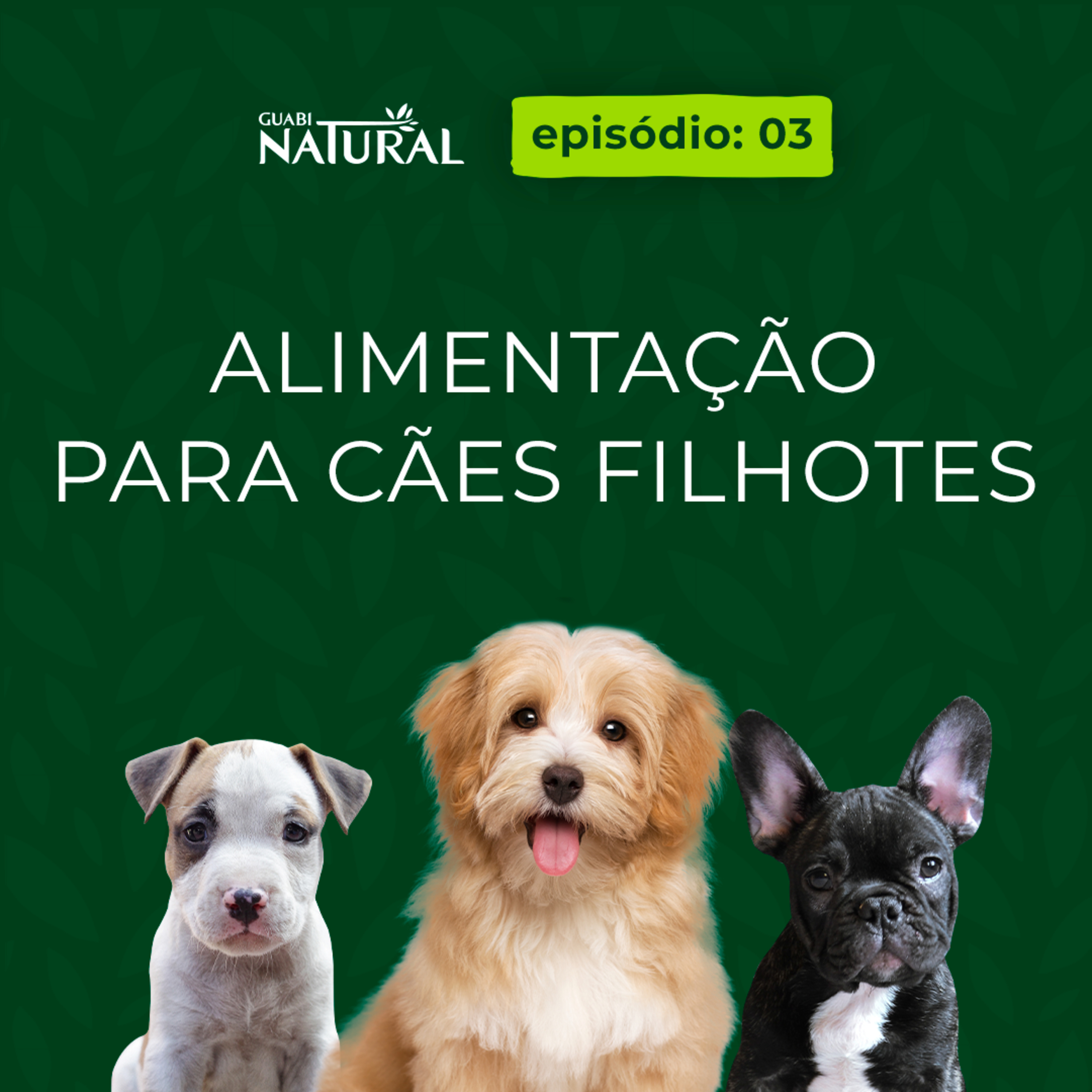 #03 - Alimentação para cães filhotes episode artwork