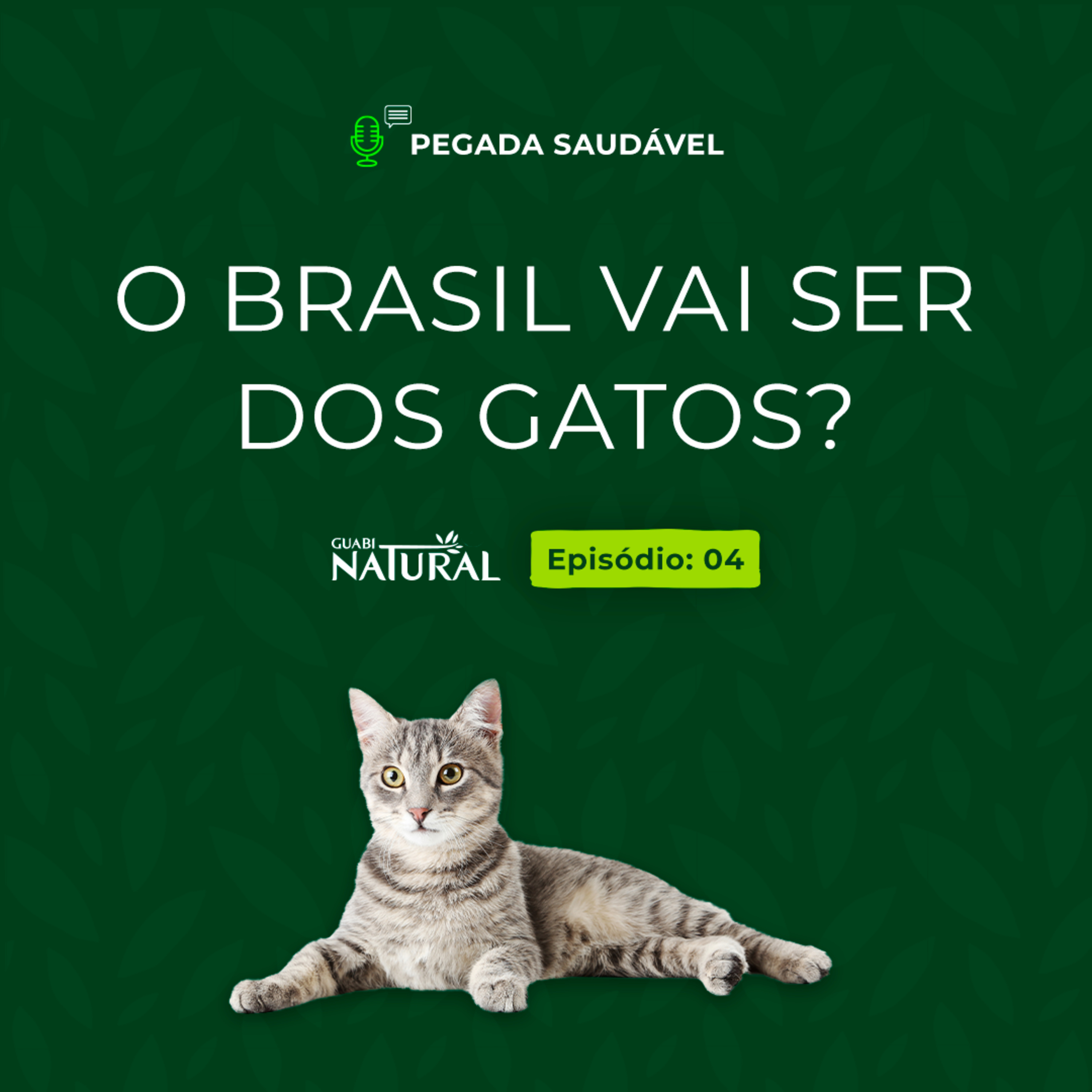 #04 - O Brasil vai ser dos gatos? episode artwork