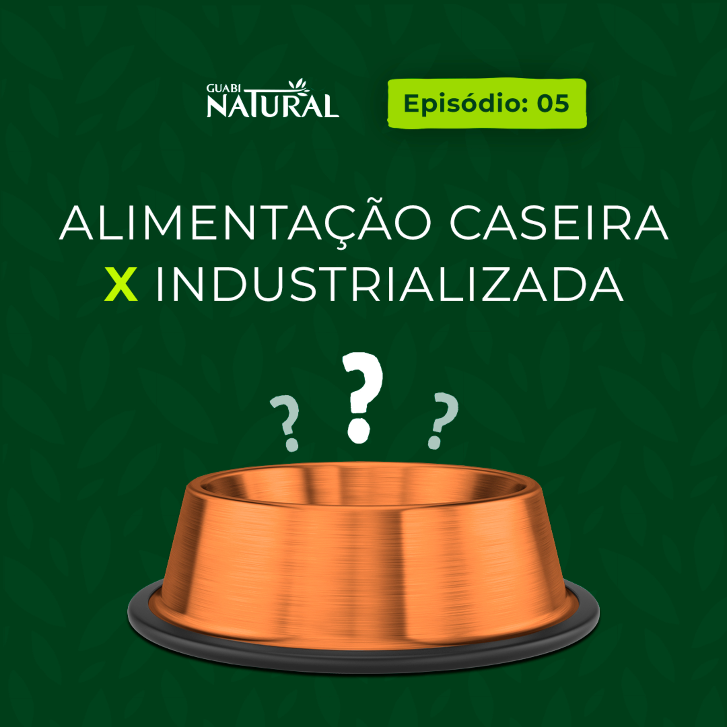 #05 - Alimentação caseira x industrializada episode artwork
