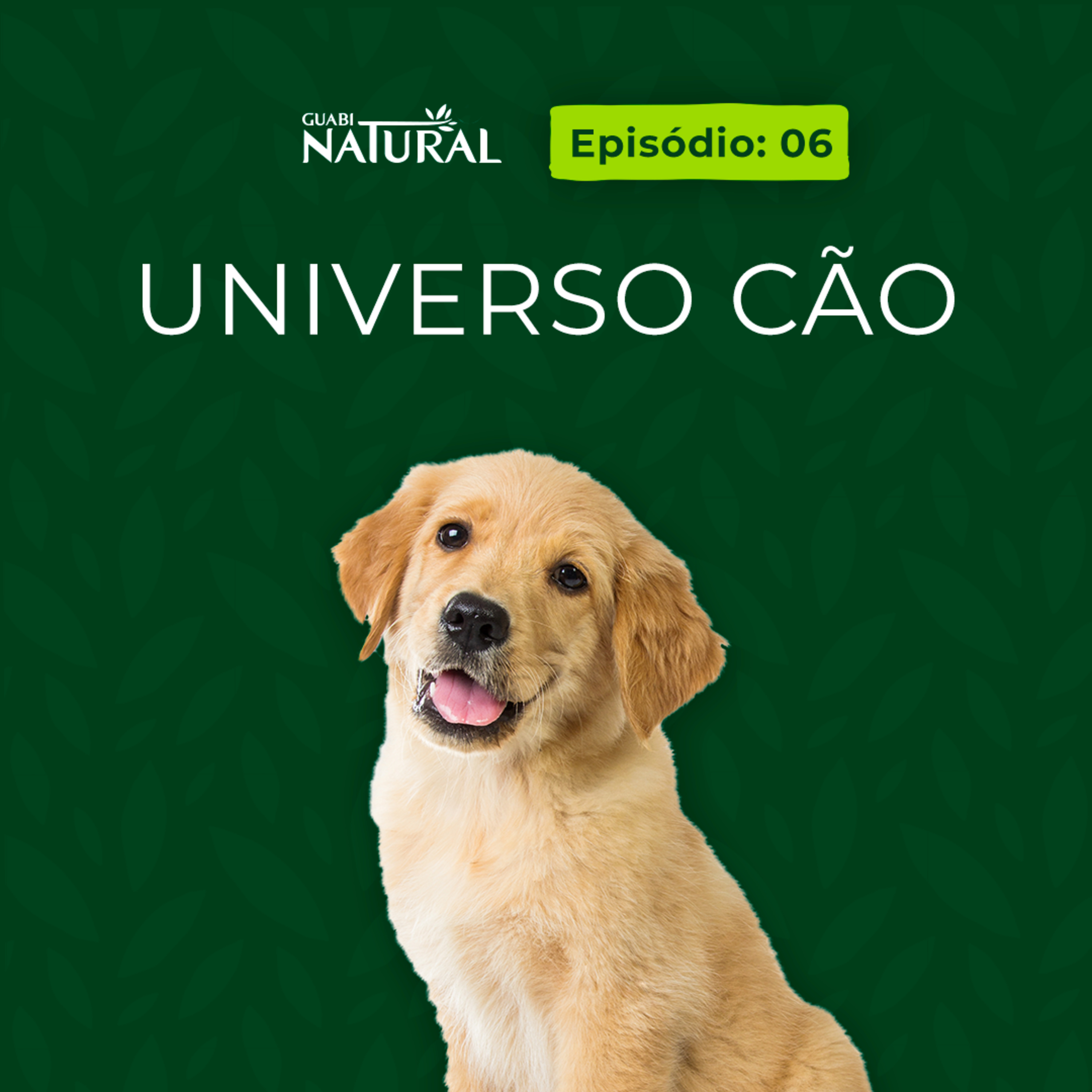  #06 – Universo cão episode artwork
