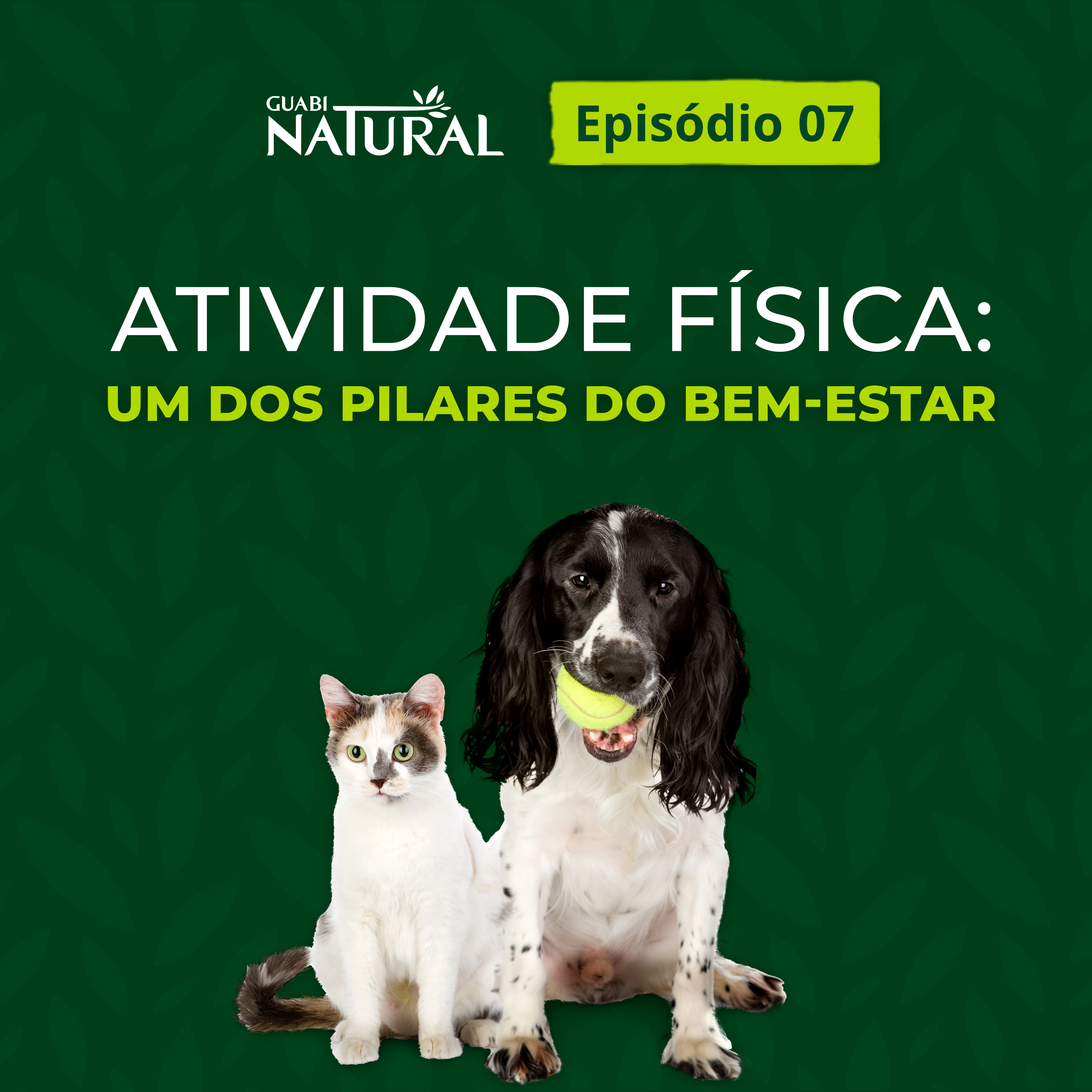 #07 - Atividade física: um dos pilares do bem-estar episode artwork