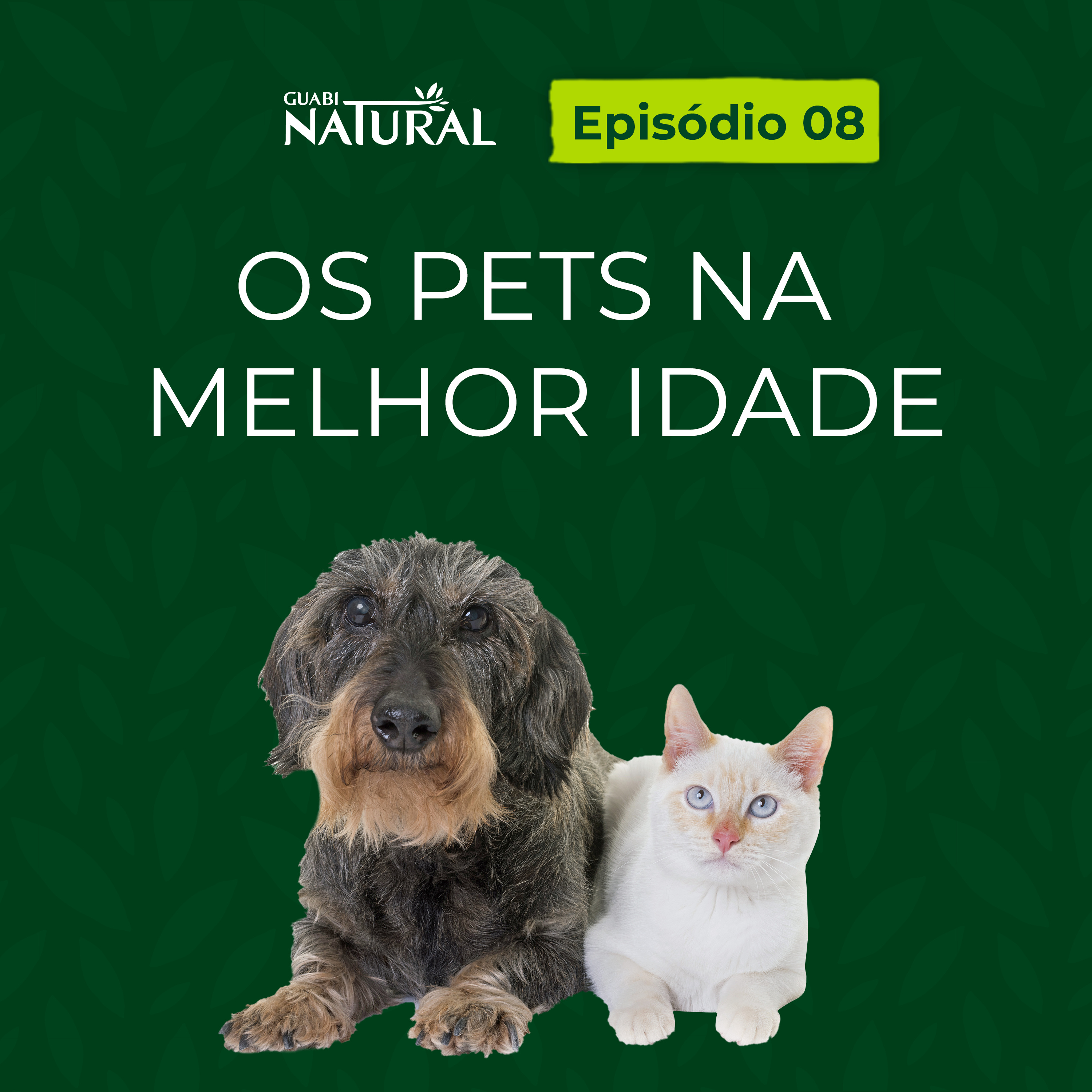 #08 – Os pets na melhor idade episode artwork