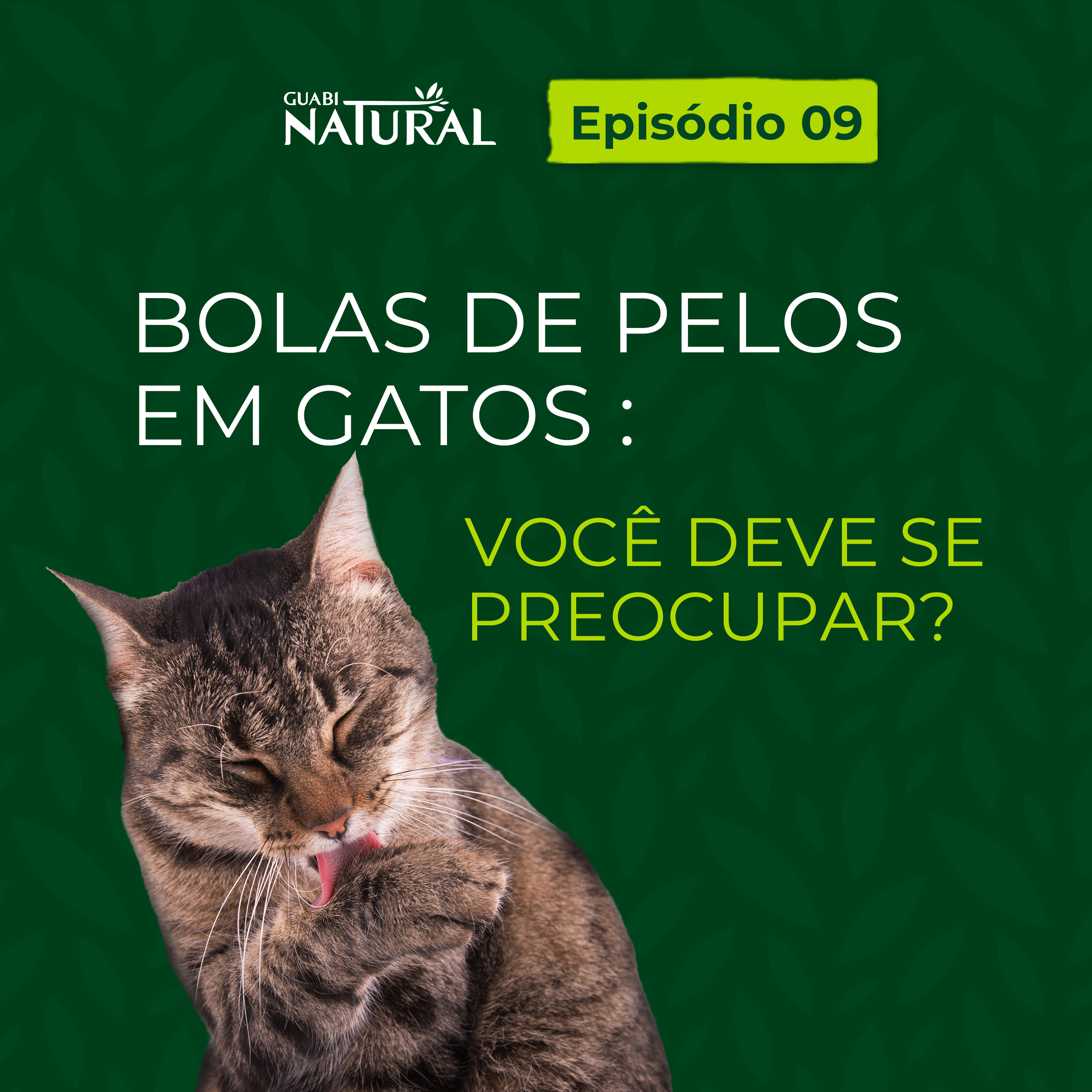 #09 – Bolas de pelos em gatos: você deve se preocupar? episode artwork