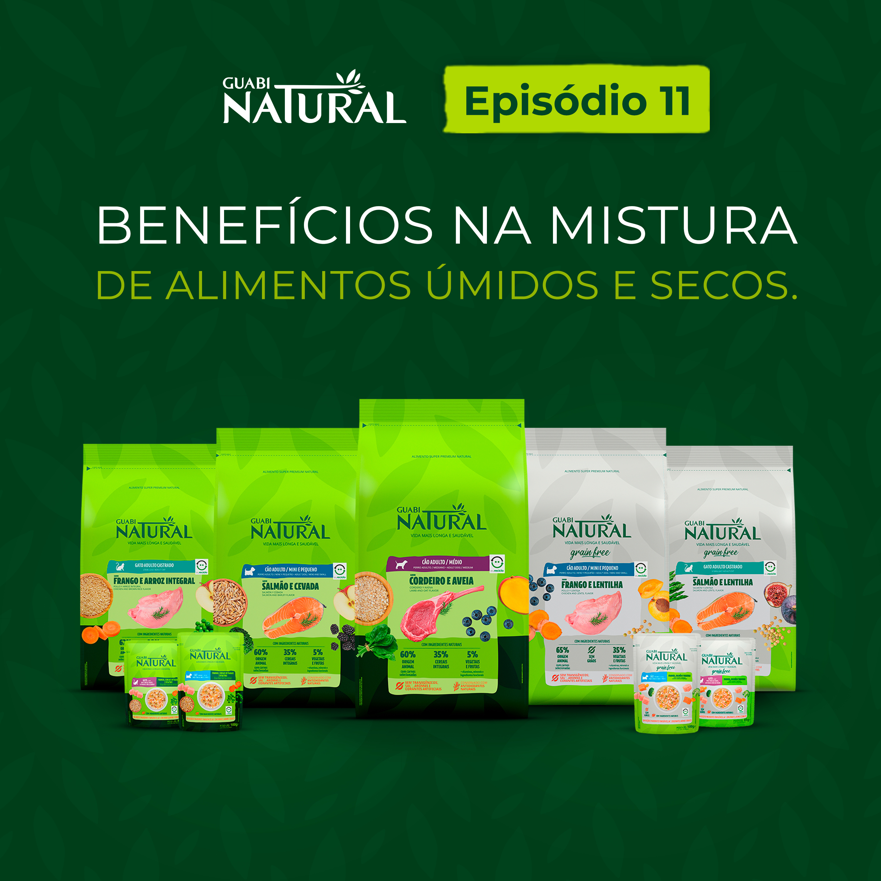 #11 – Benefícios na mistura de alimentos úmidos e secos episode artwork