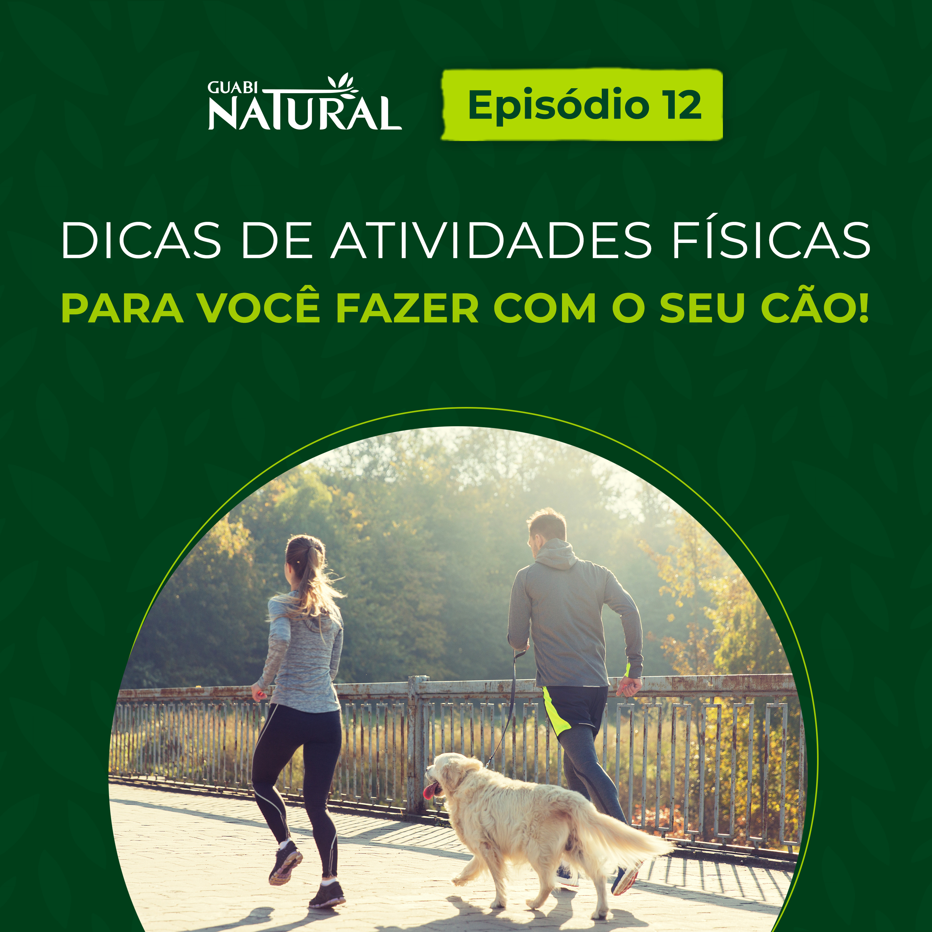 #12 – Dicas de atividades físicas para você fazer com o seu cão! episode artwork