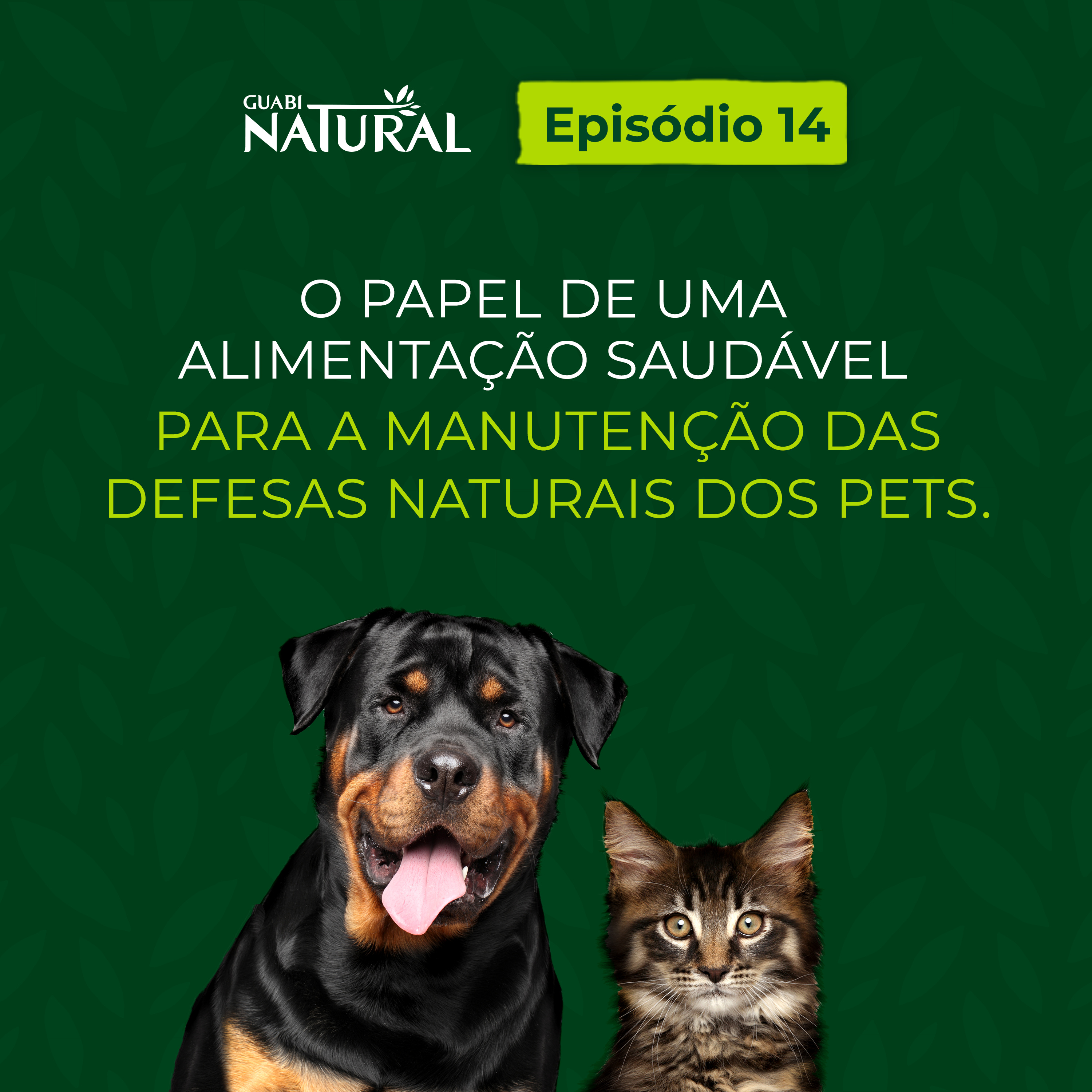#14 - O papel de uma alimentação saudável para a manutenção das defesas naturais dos pets episode artwork