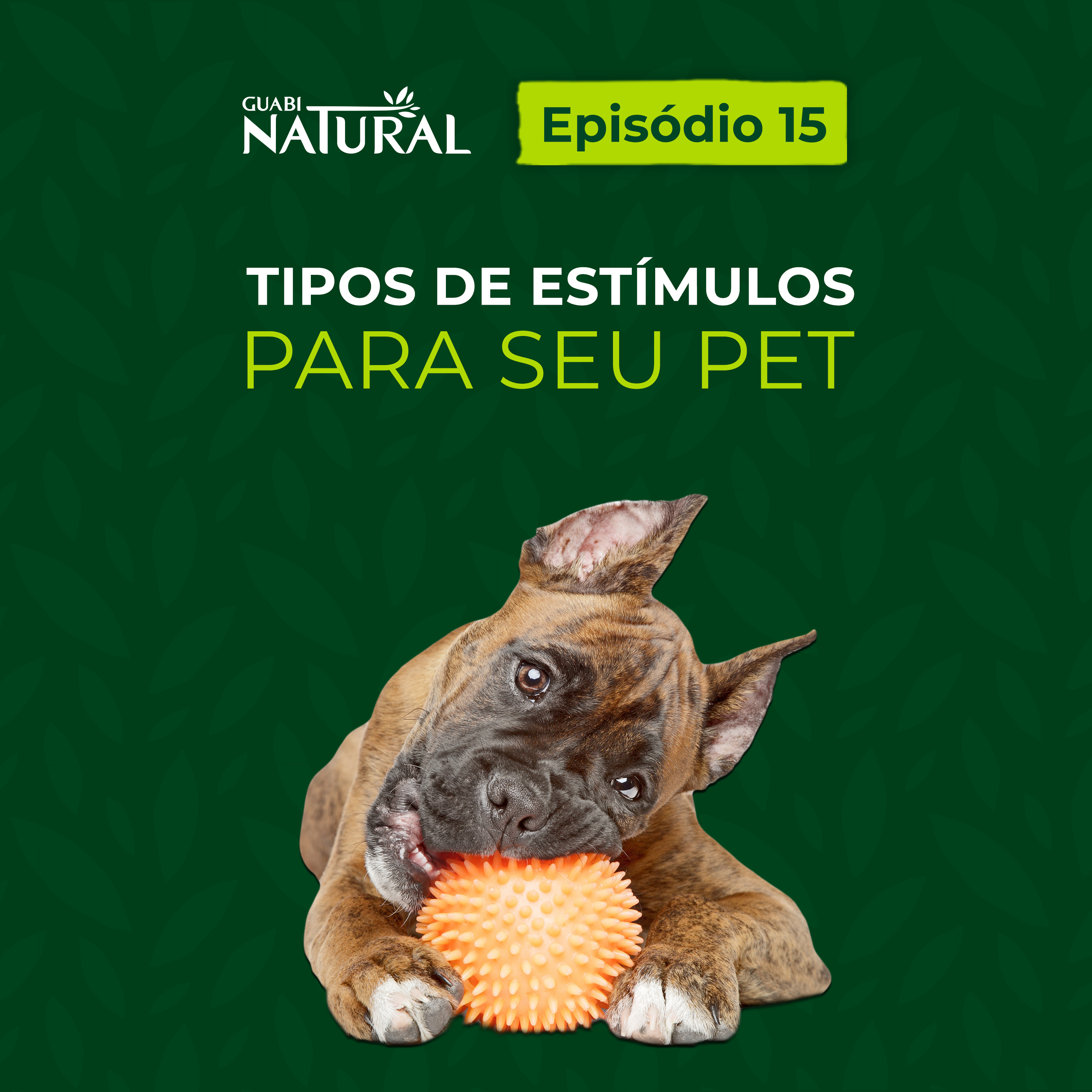 #15 - Tipos de estímulos para os pets episode artwork