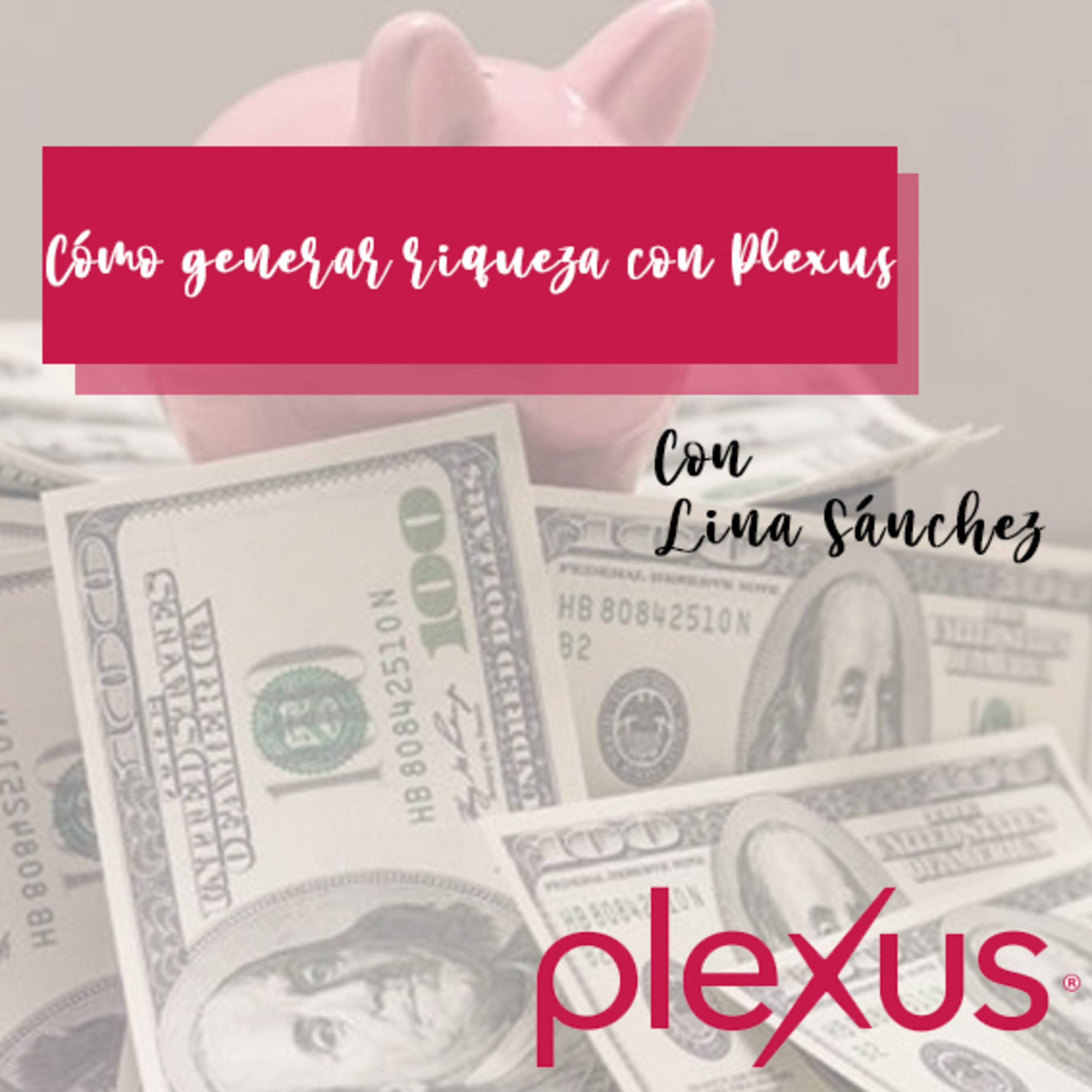 Mentalidad Plexus México