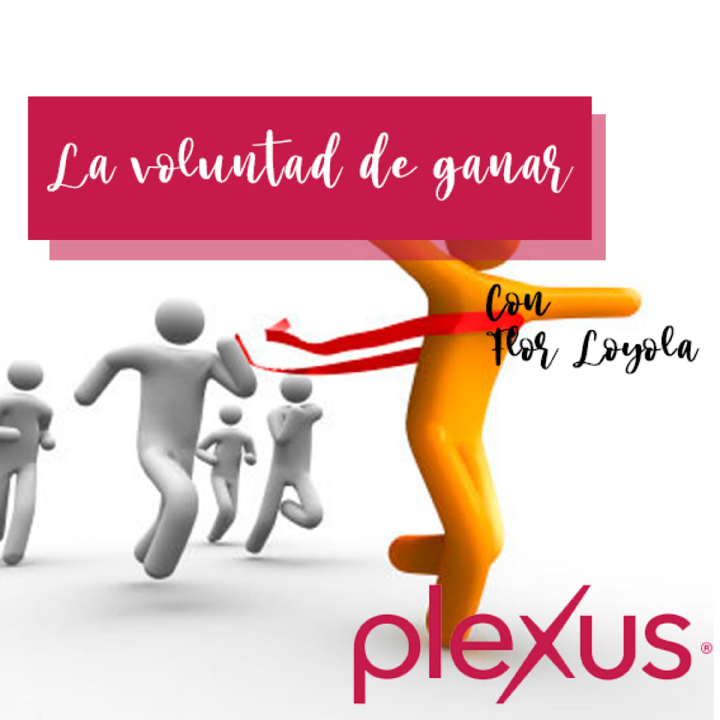 Mentalidad Plexus México