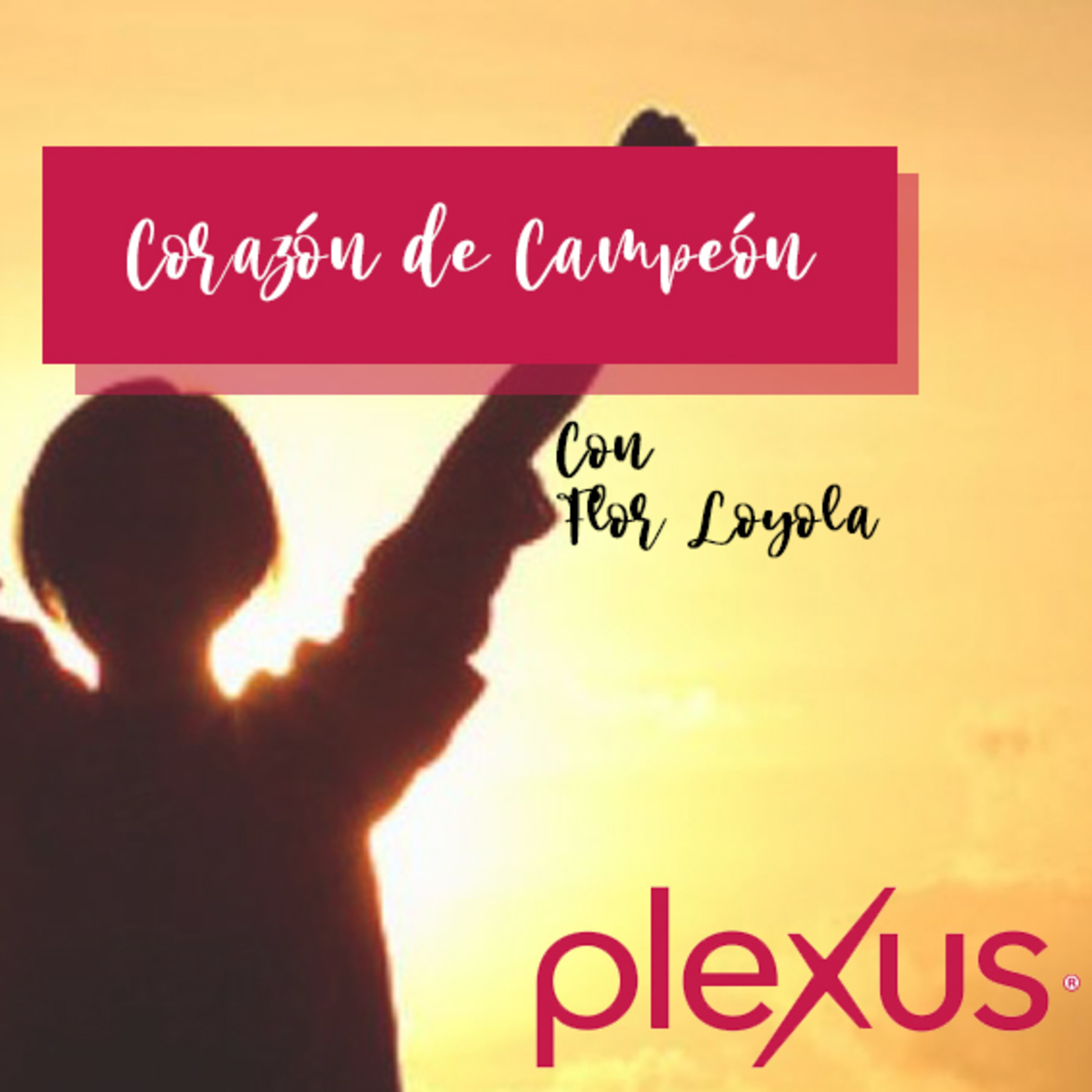 Mentalidad Plexus México