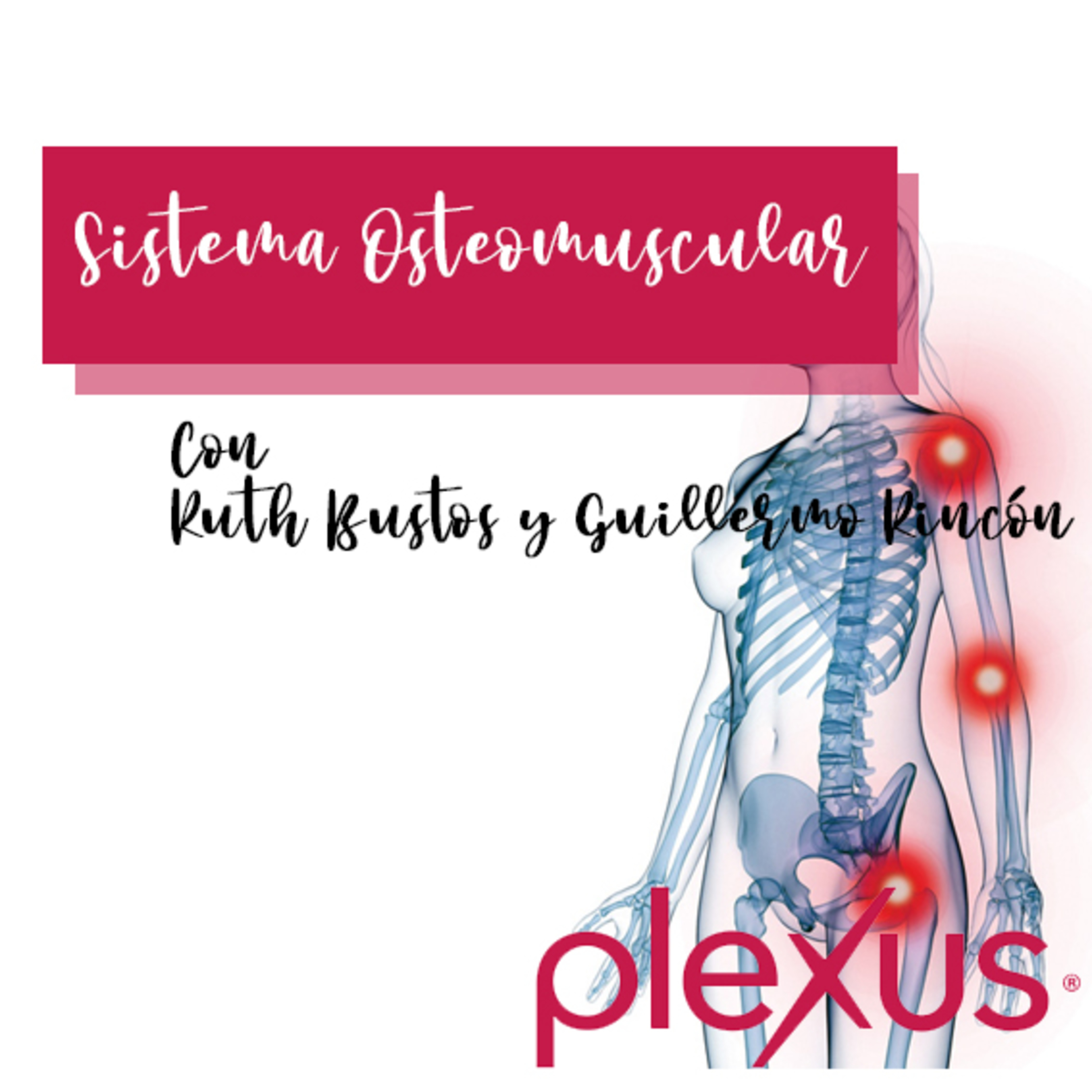 Mentalidad Plexus México