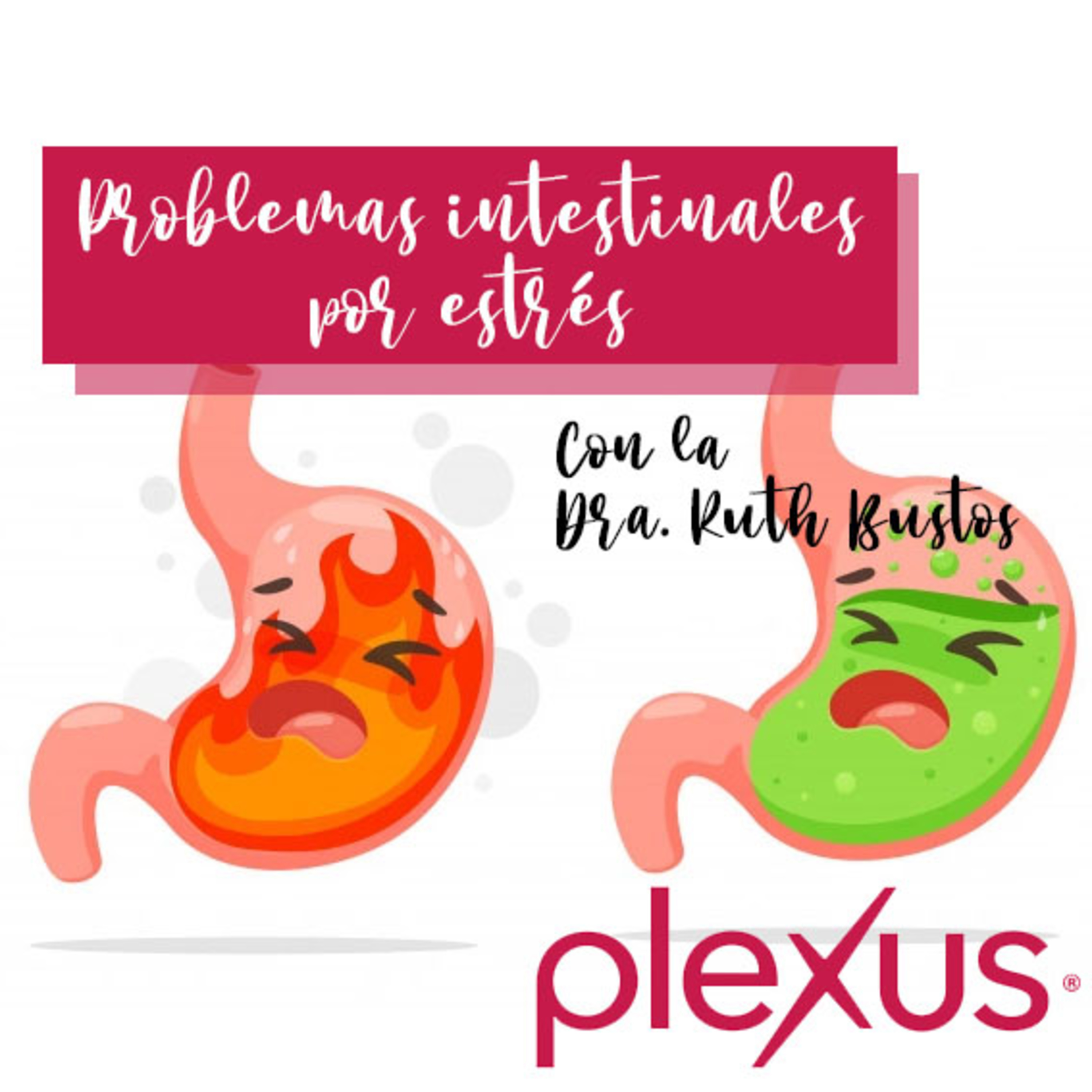 Mentalidad Plexus México