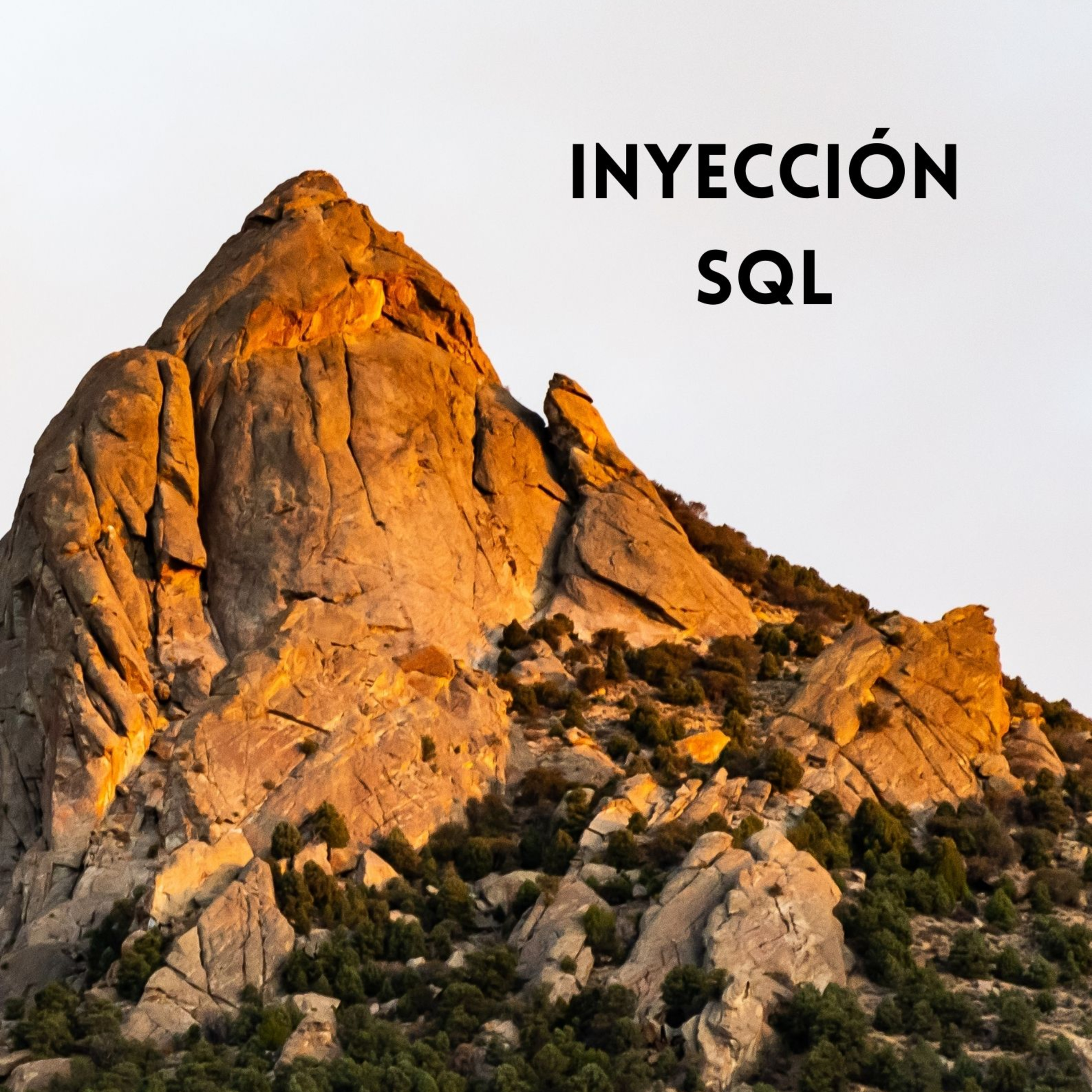 Inyecciones SQL episode artwork
