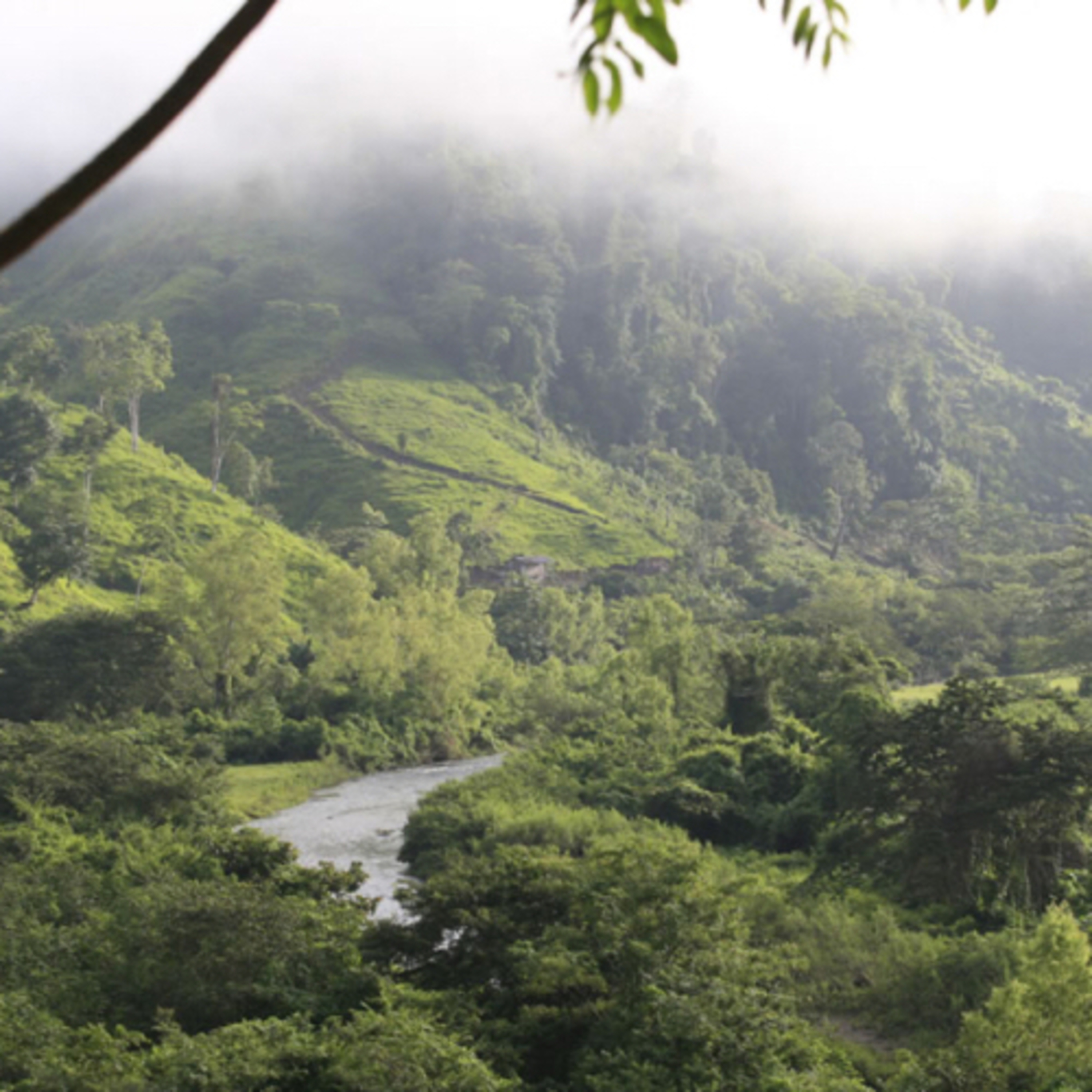 Reservas de biosferas de El Salvador 