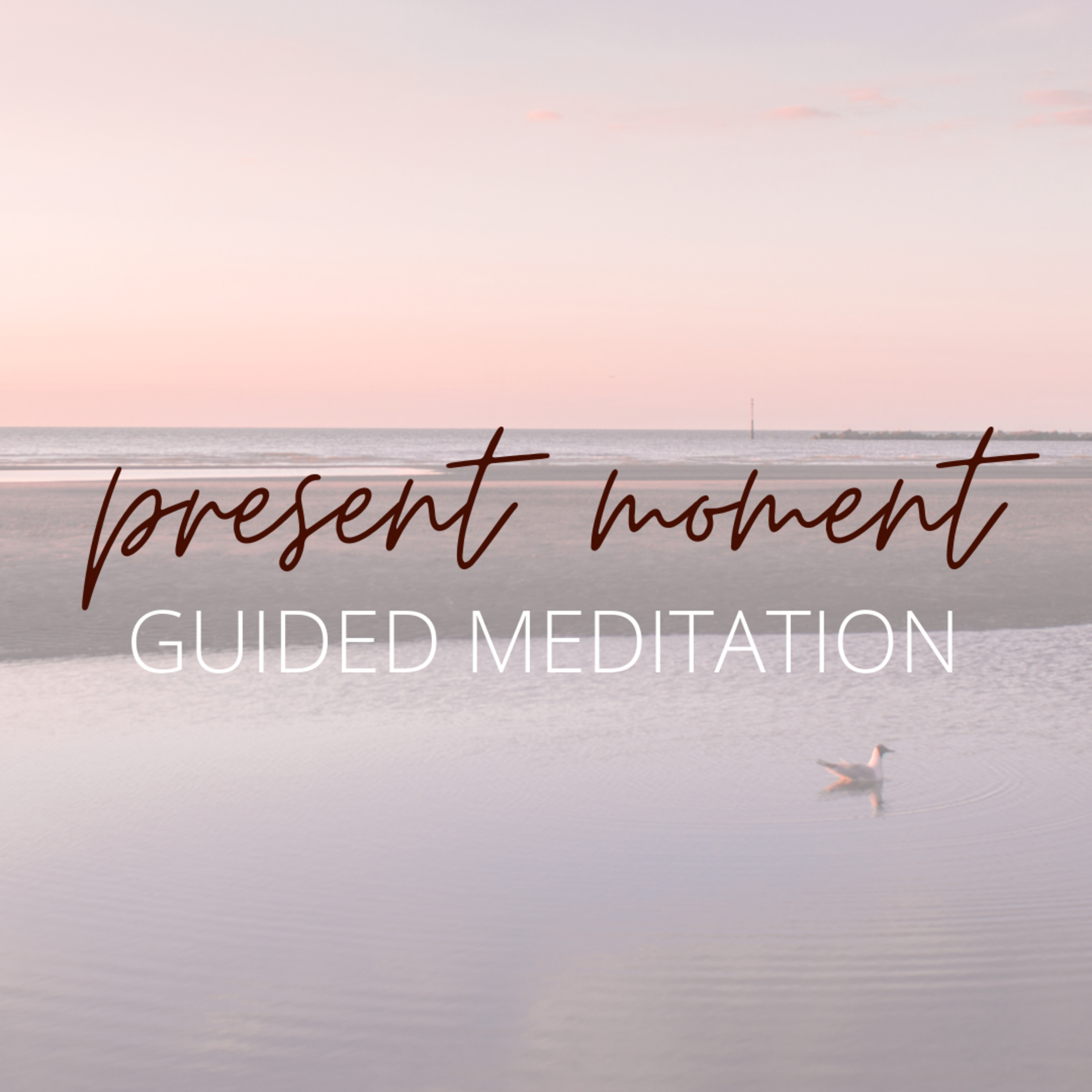 Guided Meditations with Samantha Case