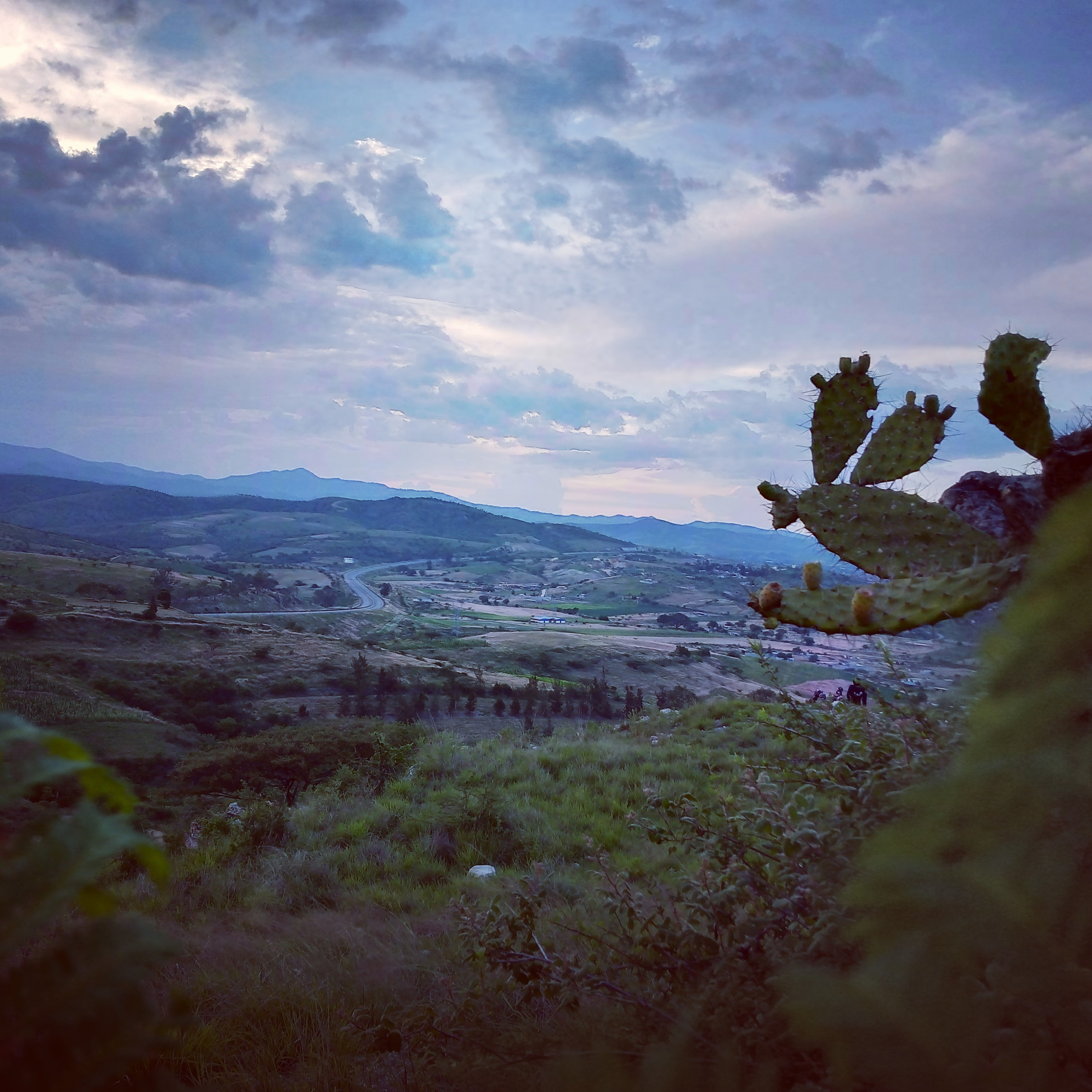 La Noche Boca Arriba