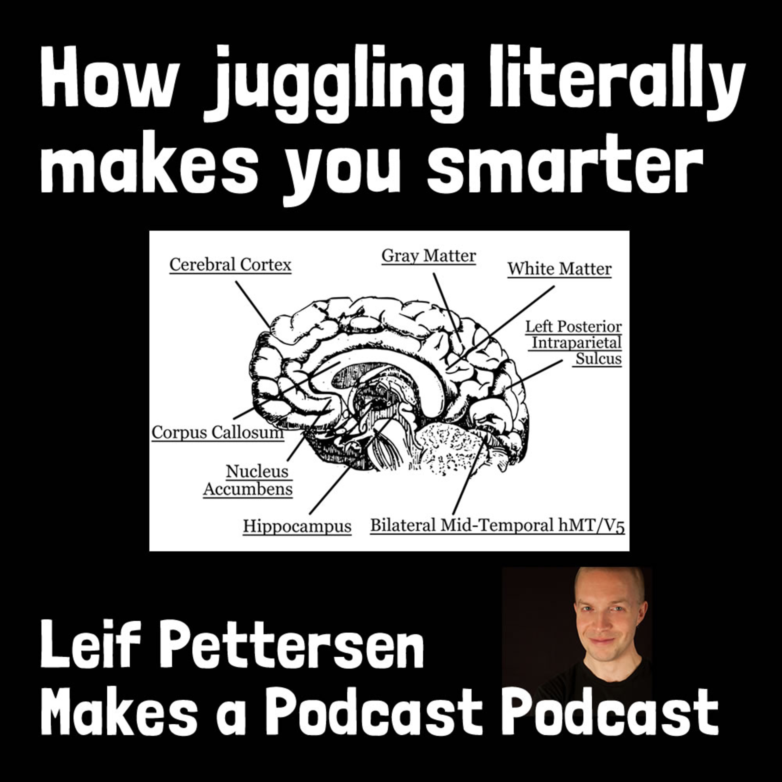 Leif Pettersen Makes a Podcast Podcast