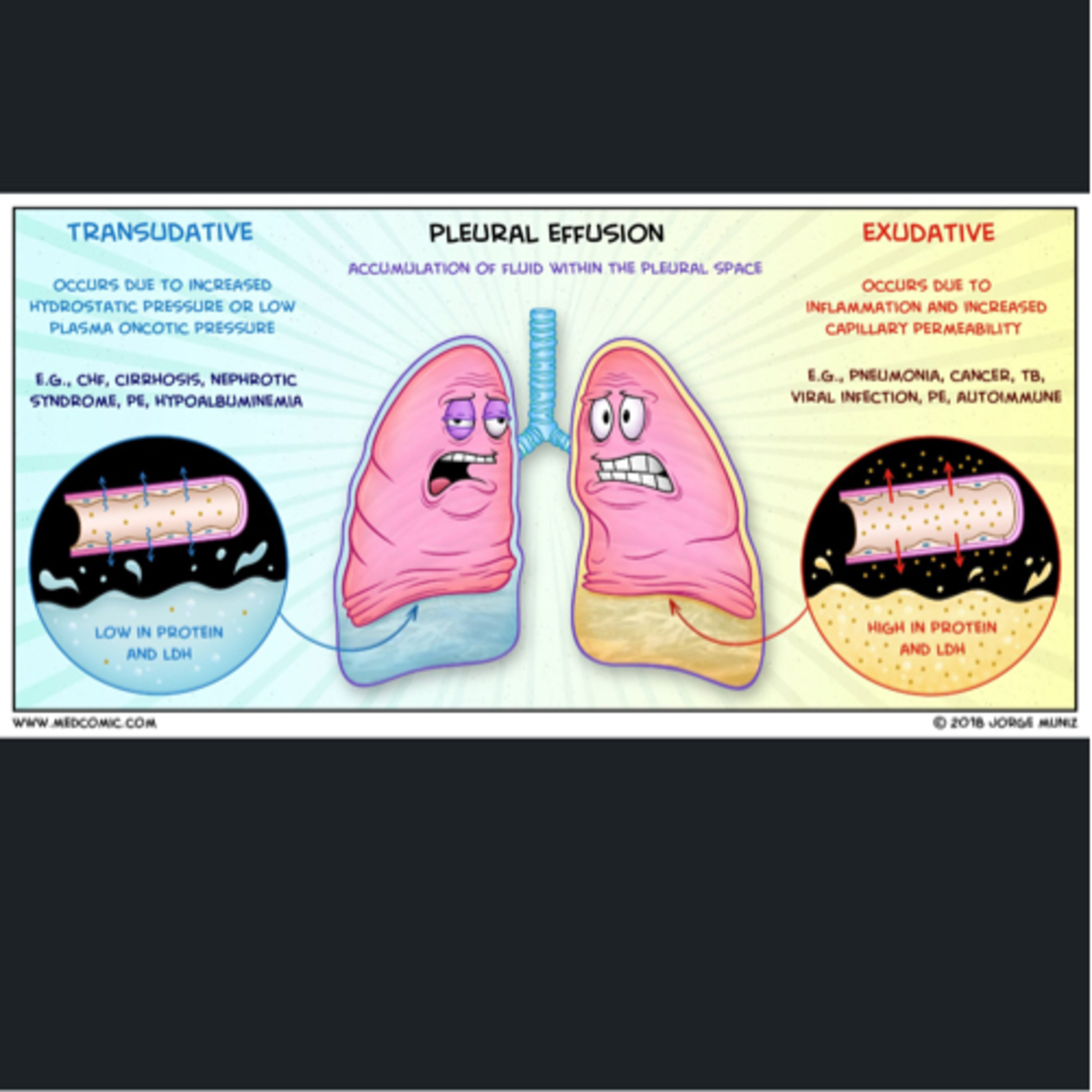 “What are Key Differences Between ‘Transudate’ and ‘Exudate’ in Oral Pathology?” episode artwork