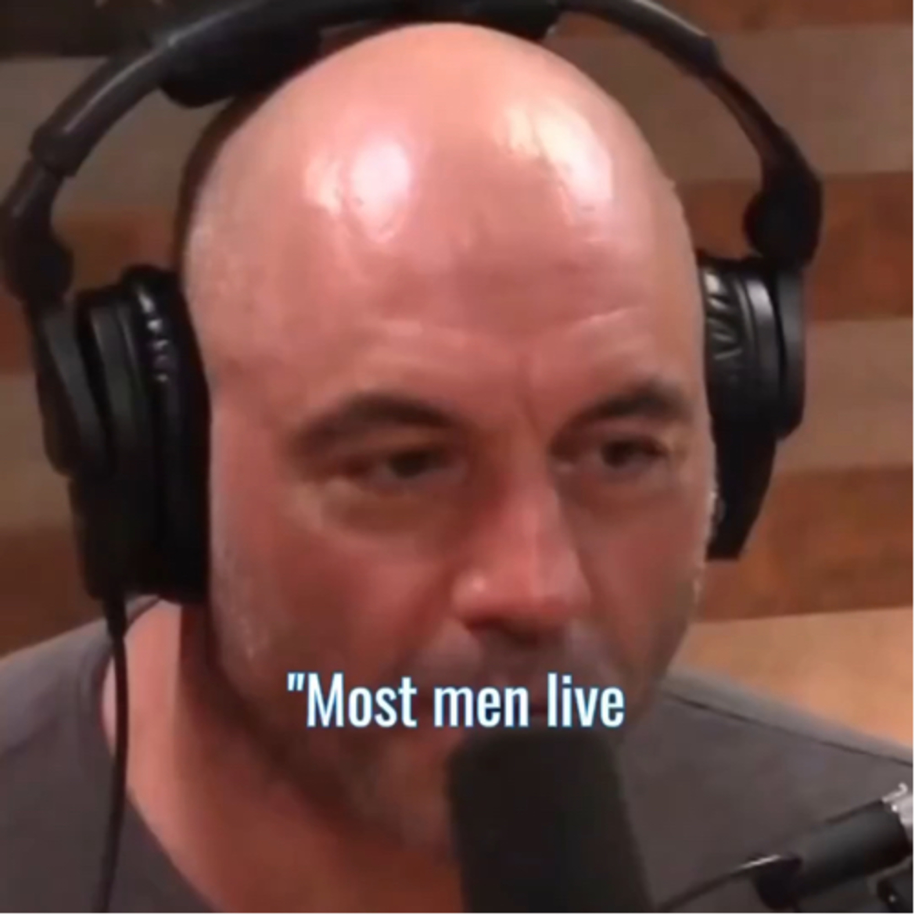 Joe Rogan Explains It All: episode artwork