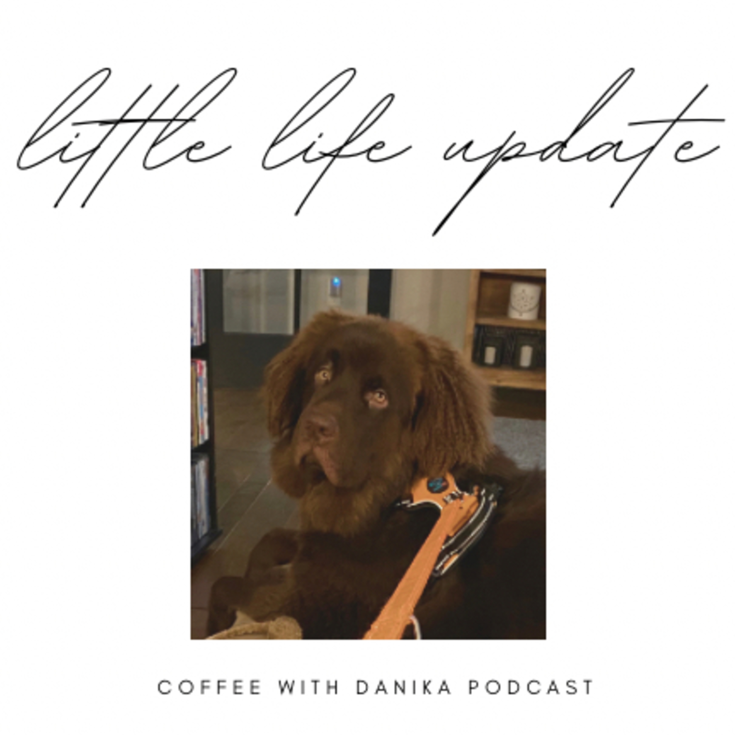 Little Life Update episode artwork