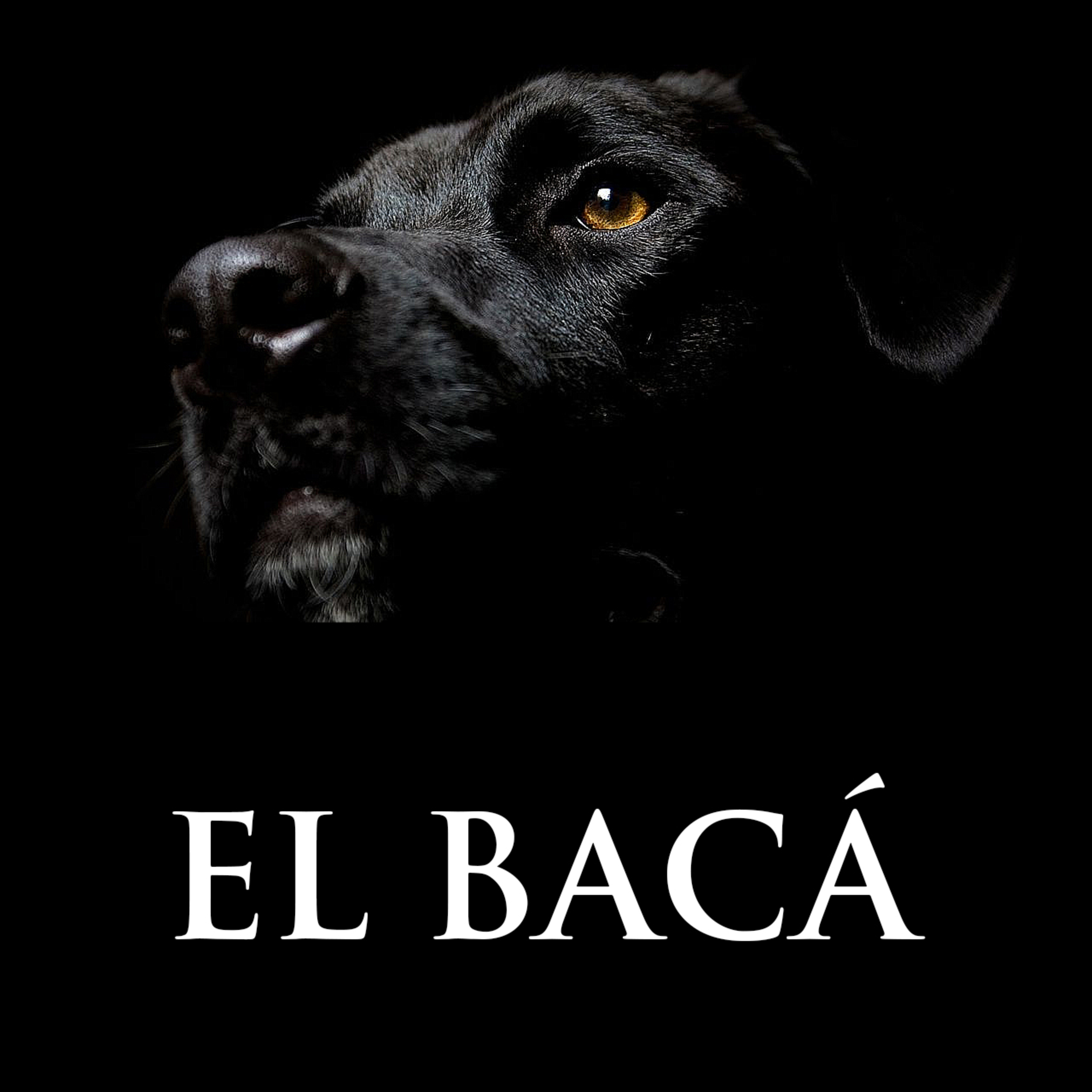 EP01 - El Bacá  episode artwork