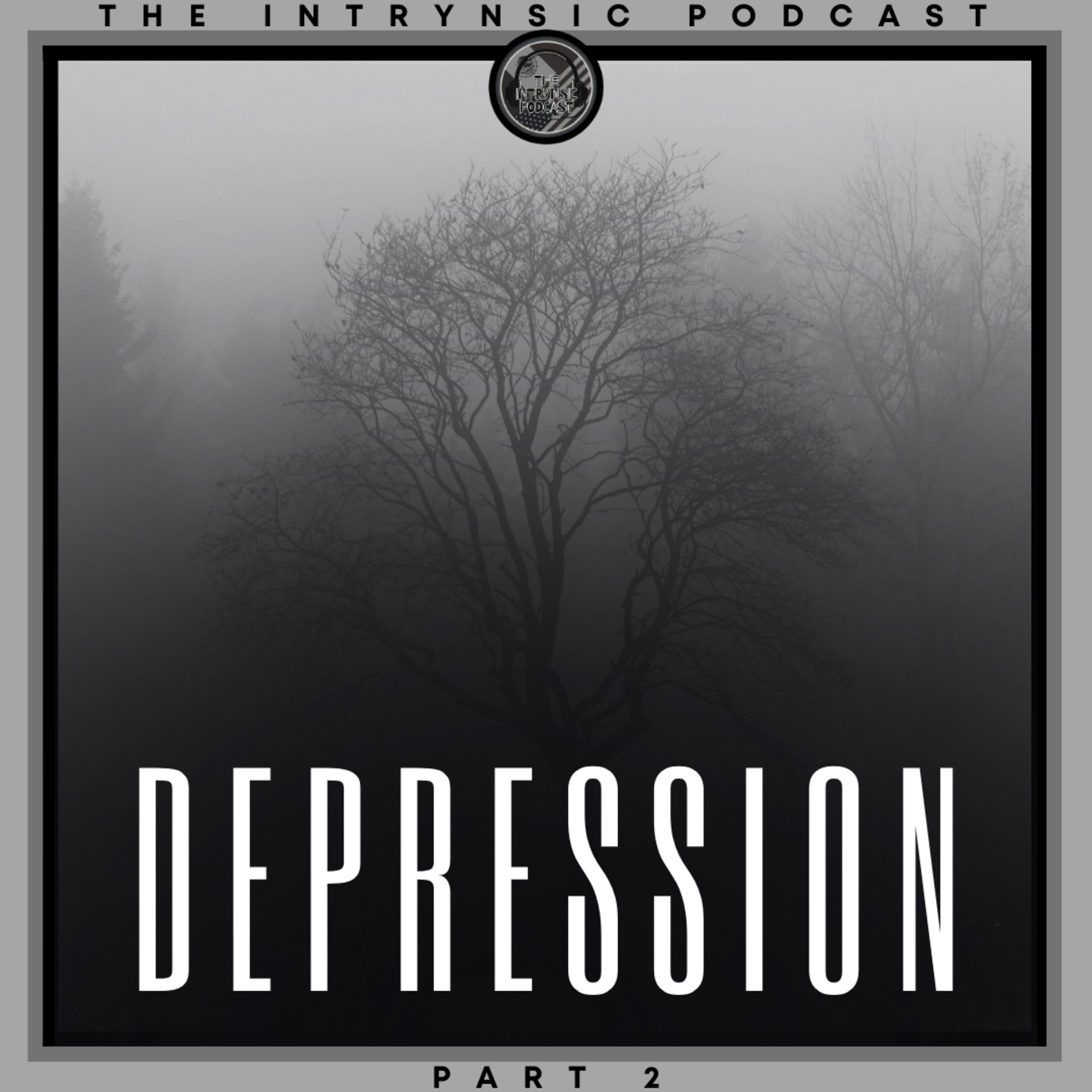 Depression: Part 2 episode artwork