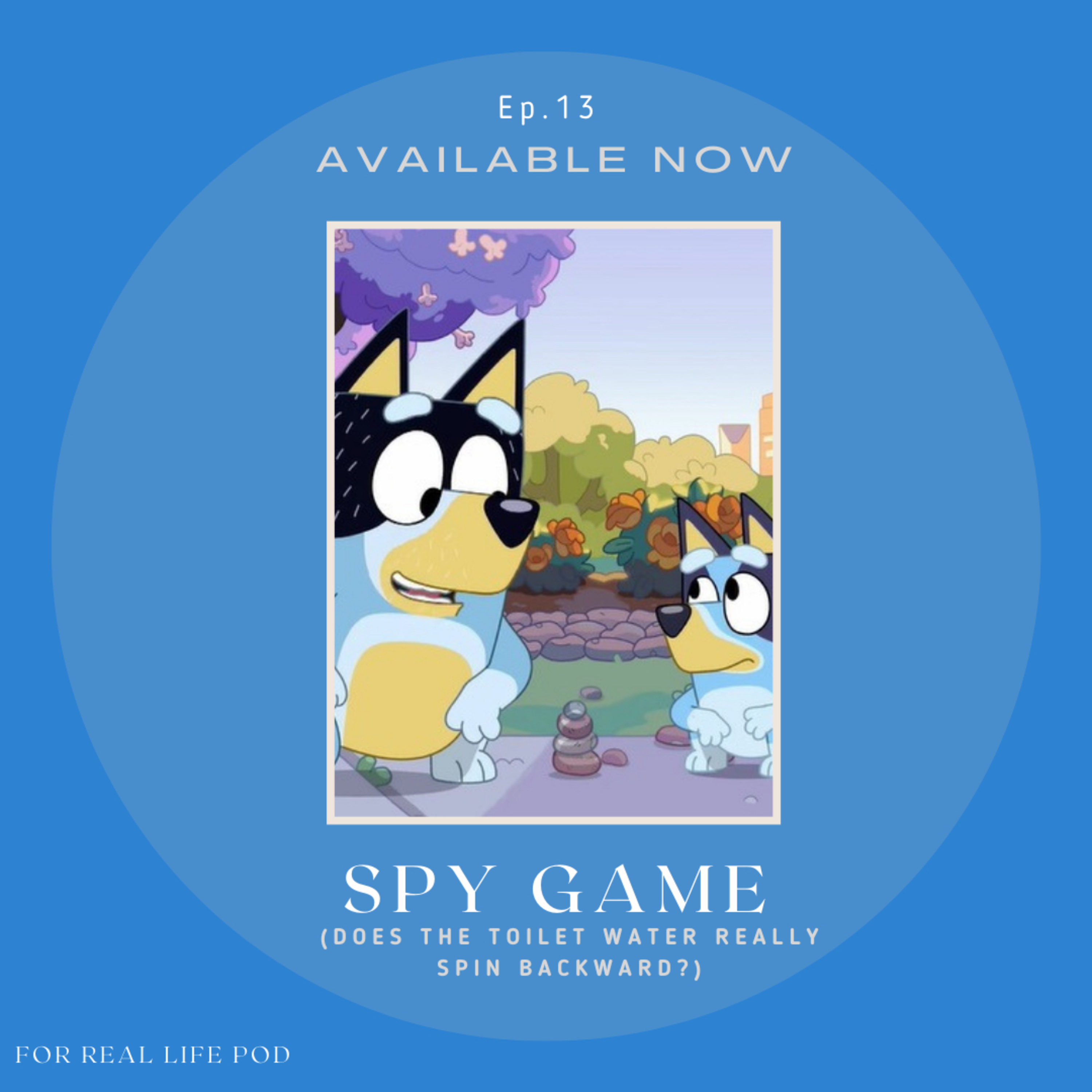 Spy Game (does the toilet water really spin backward?) episode artwork