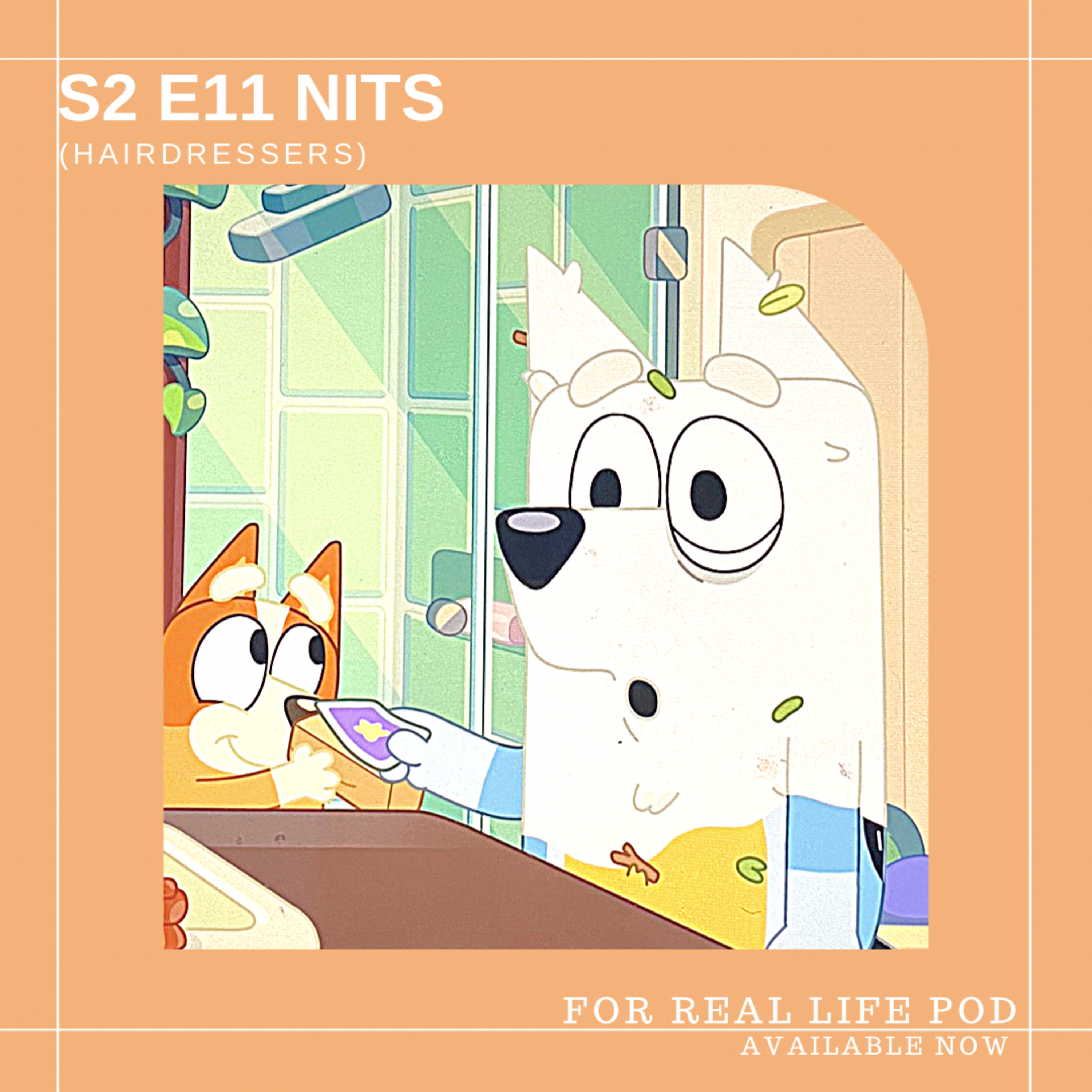 Nits!! (Hairdressers) episode artwork