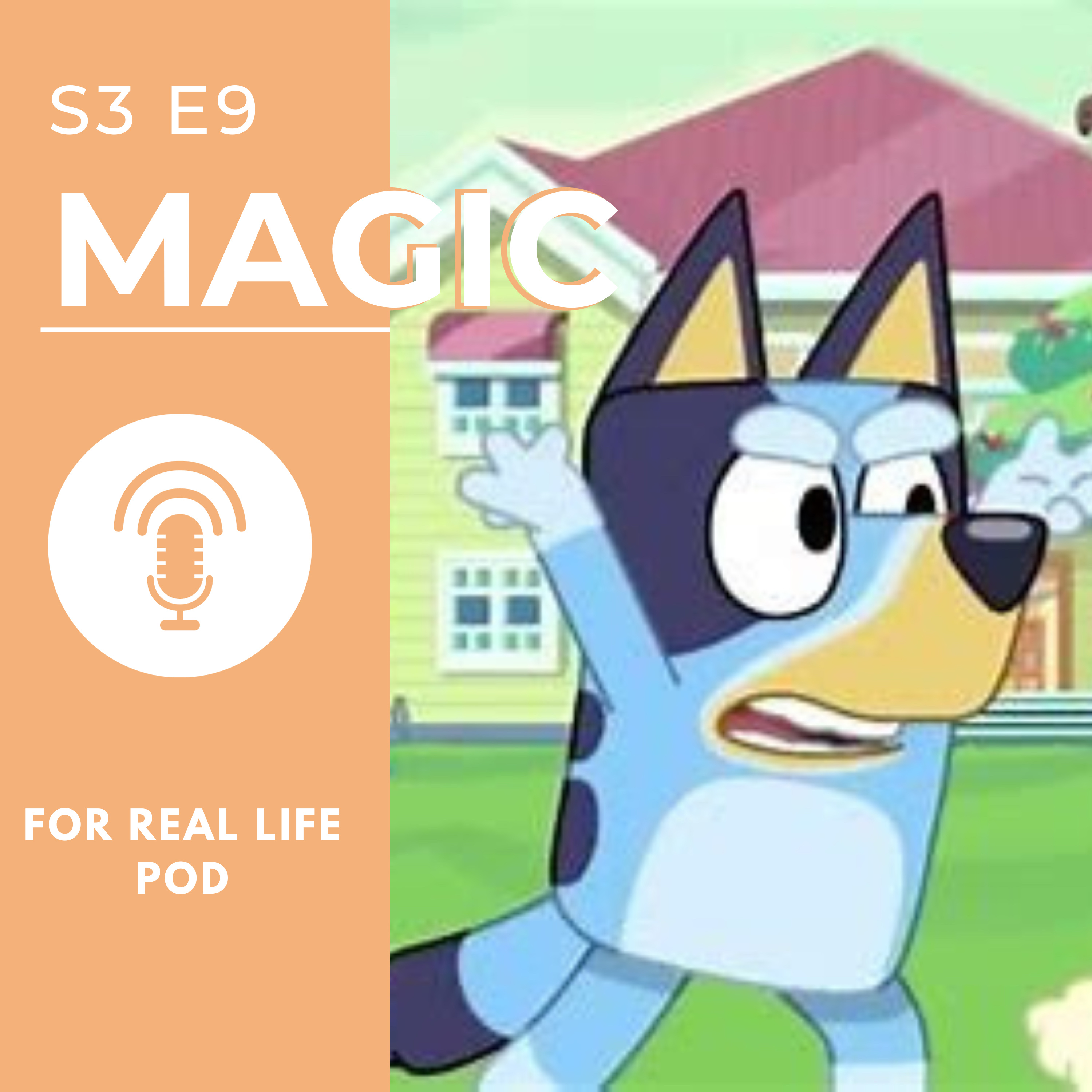 Magic episode artwork
