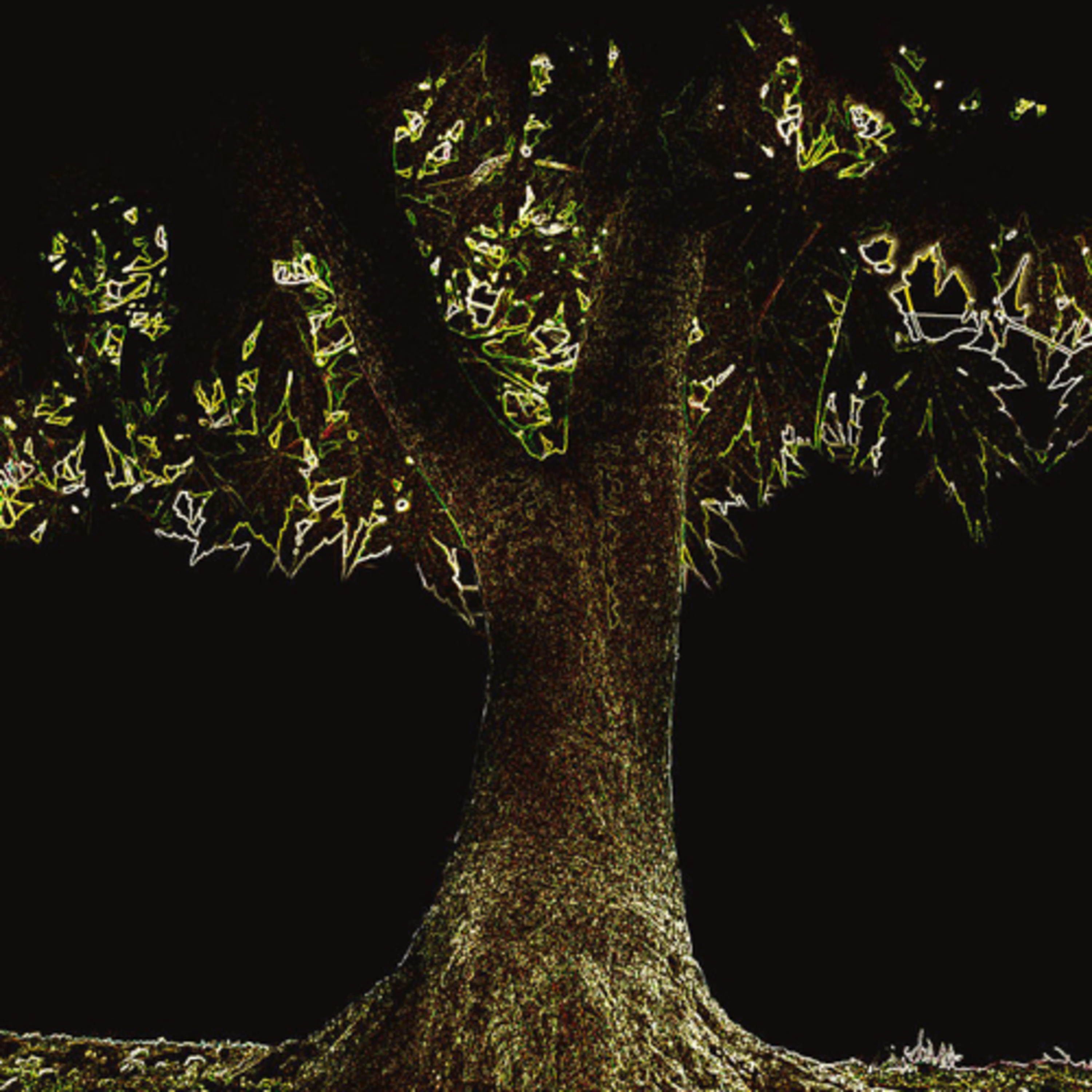 Nic Treadwell’s Storyville