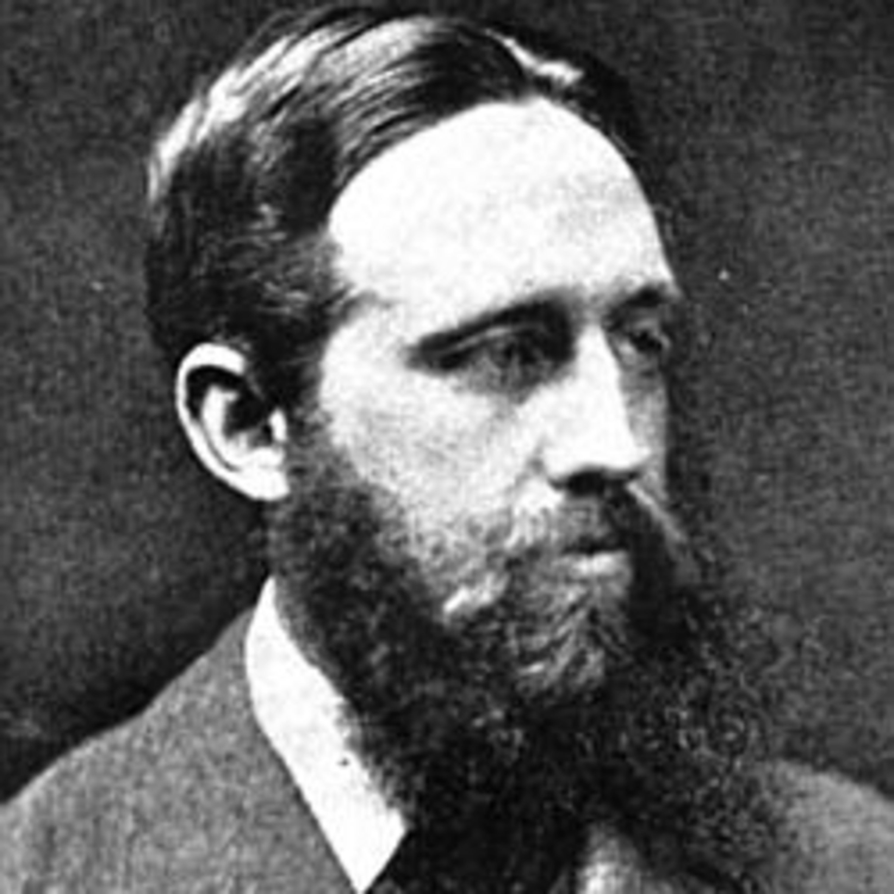 Nic Treadwell’s Storyville