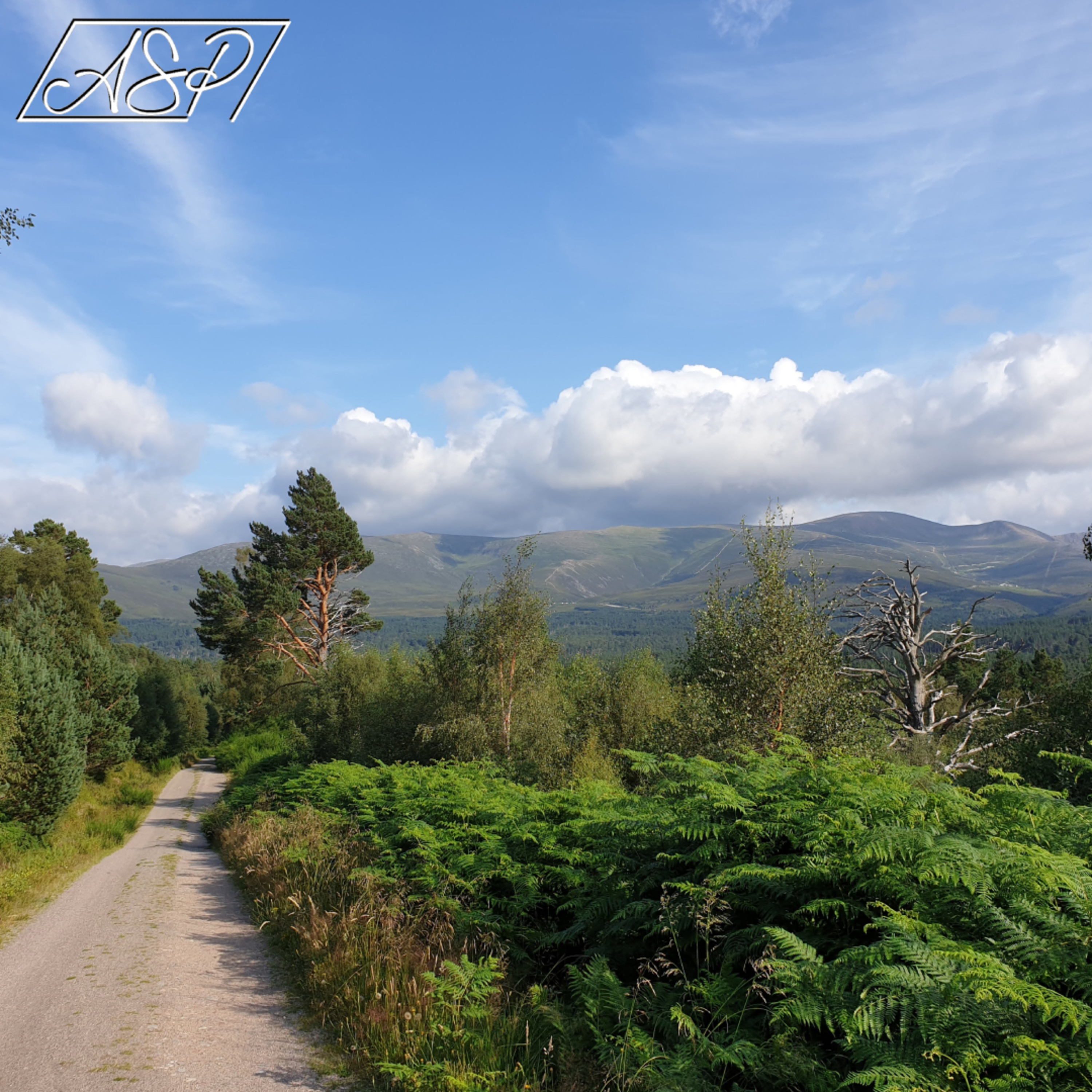 A Sophisticated Podcast